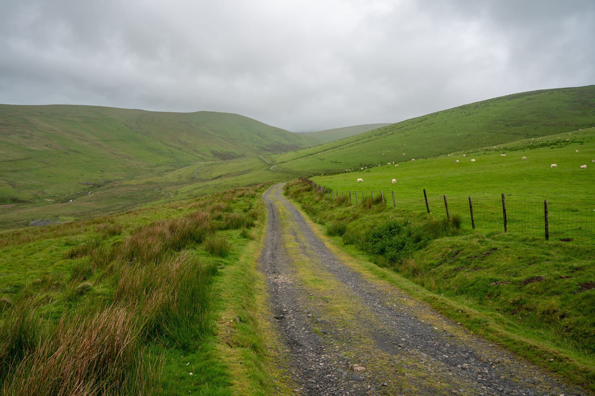 The highland roads.