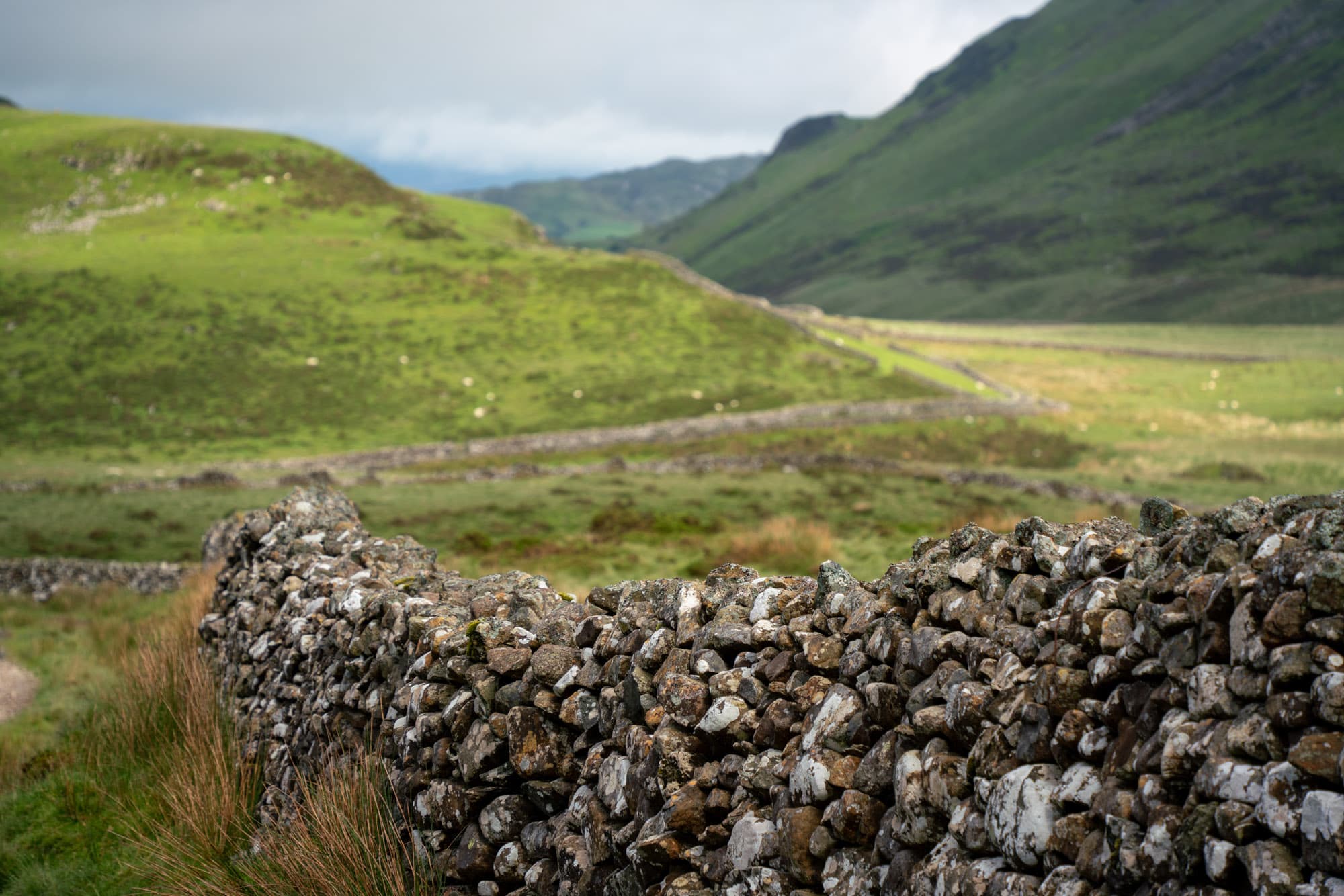 Another ancient stone fence.
