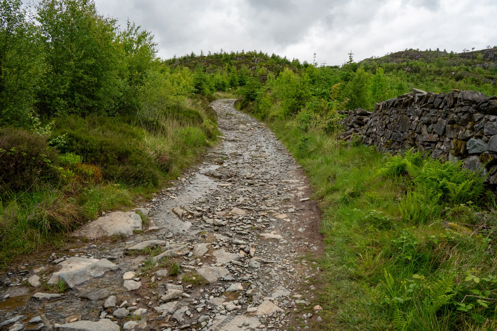 Some tough track.