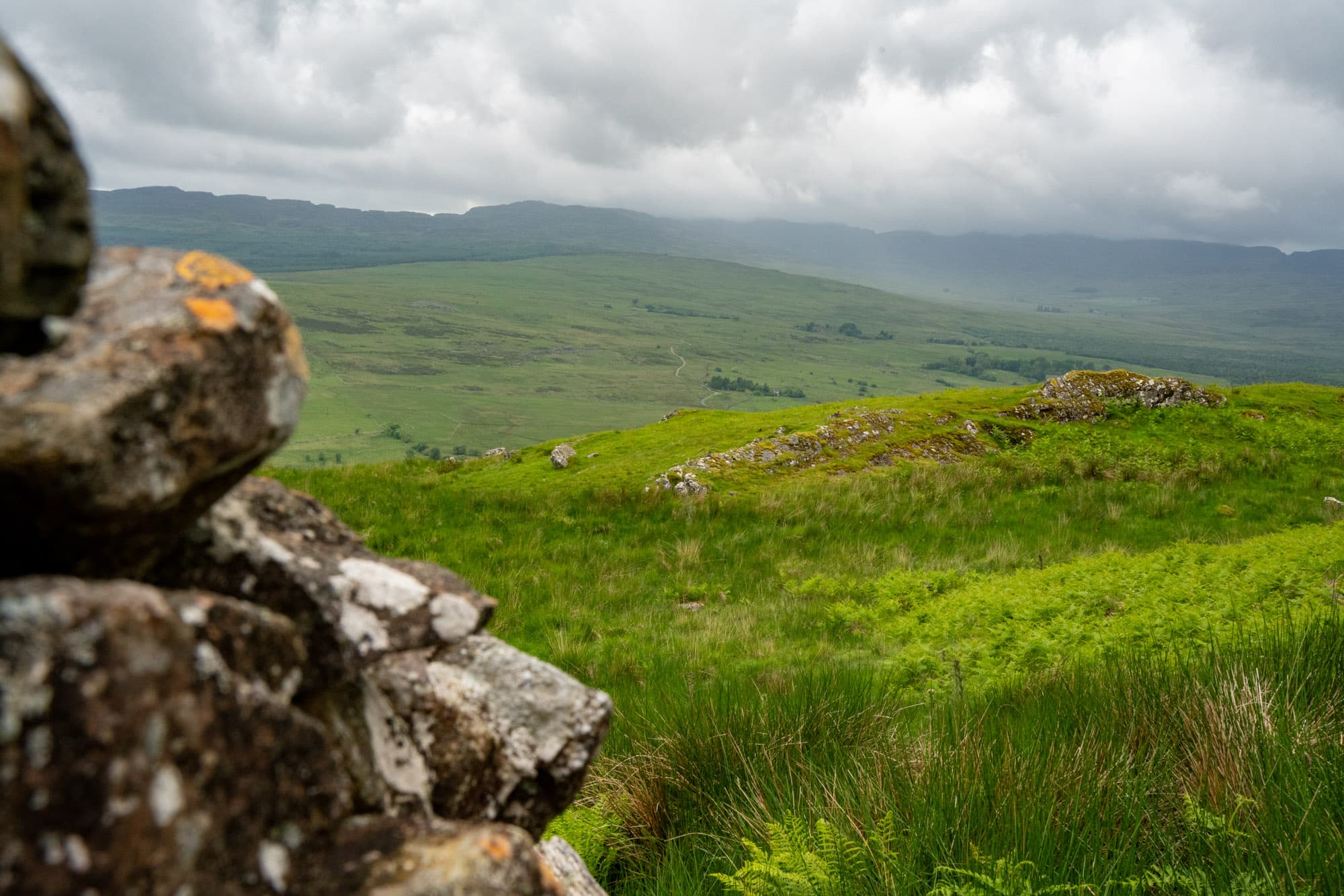 Grasslands forever.