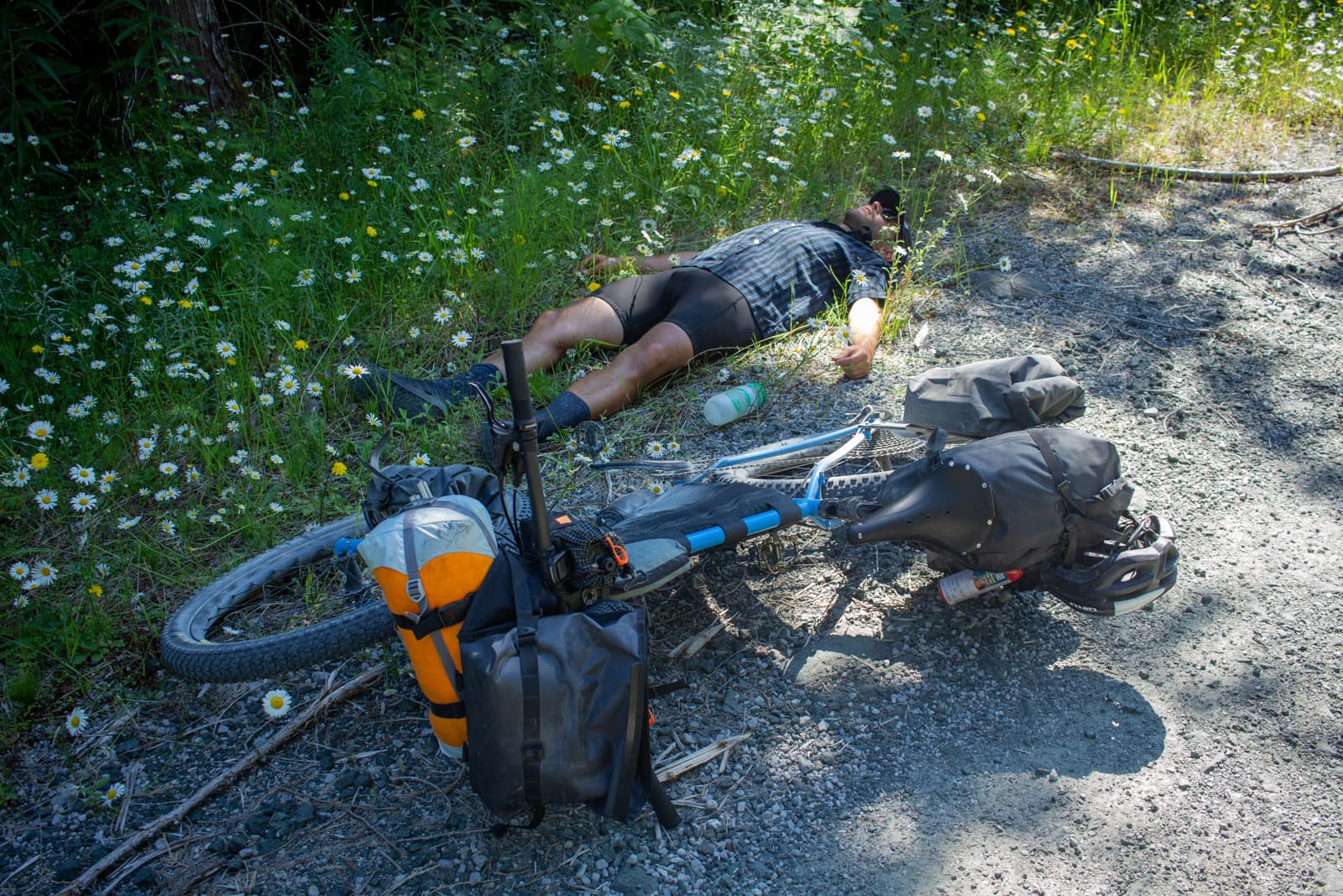 Epic Bikepacking: Tree to Sea Loop on Vancouver Island