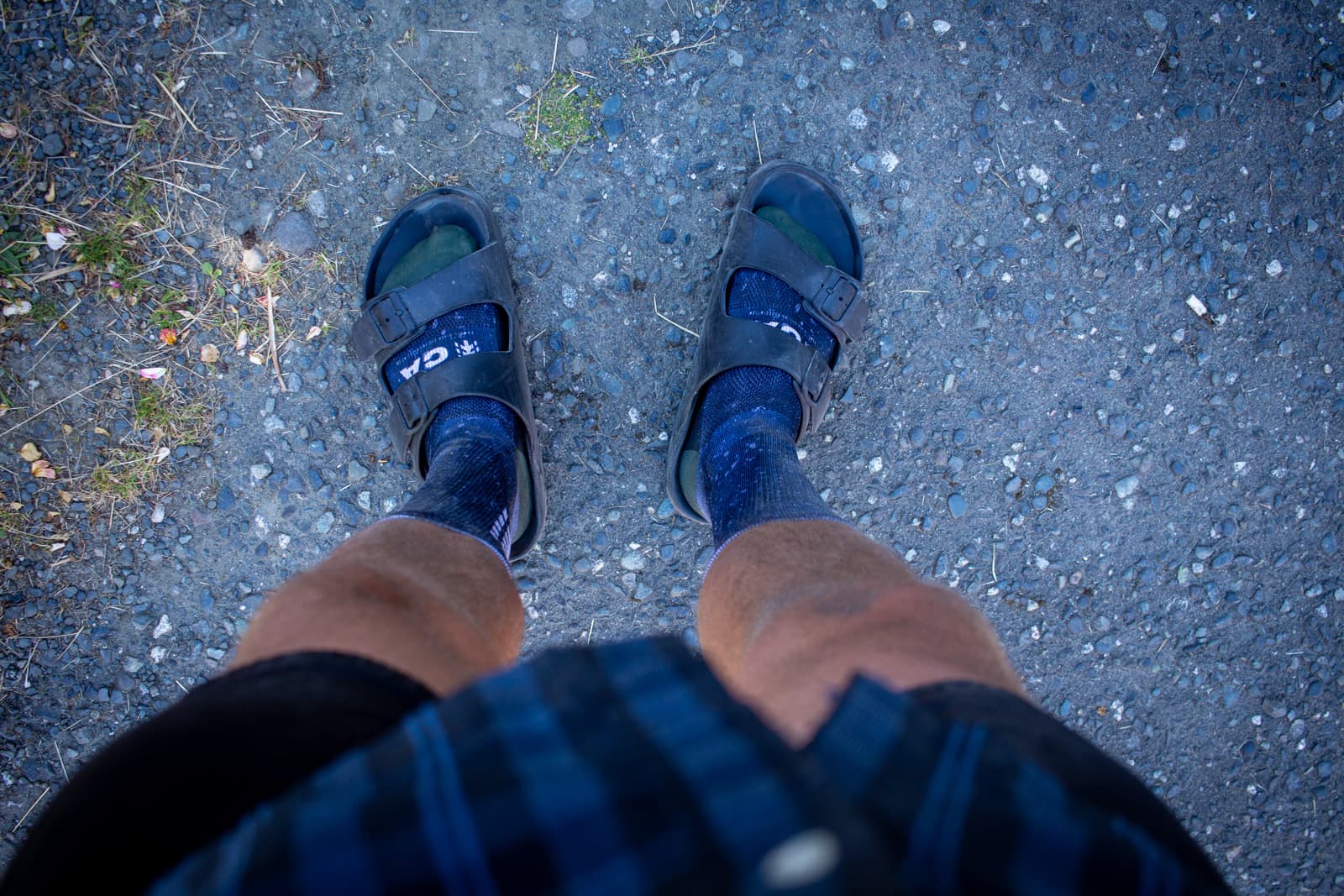 the birkencrocs