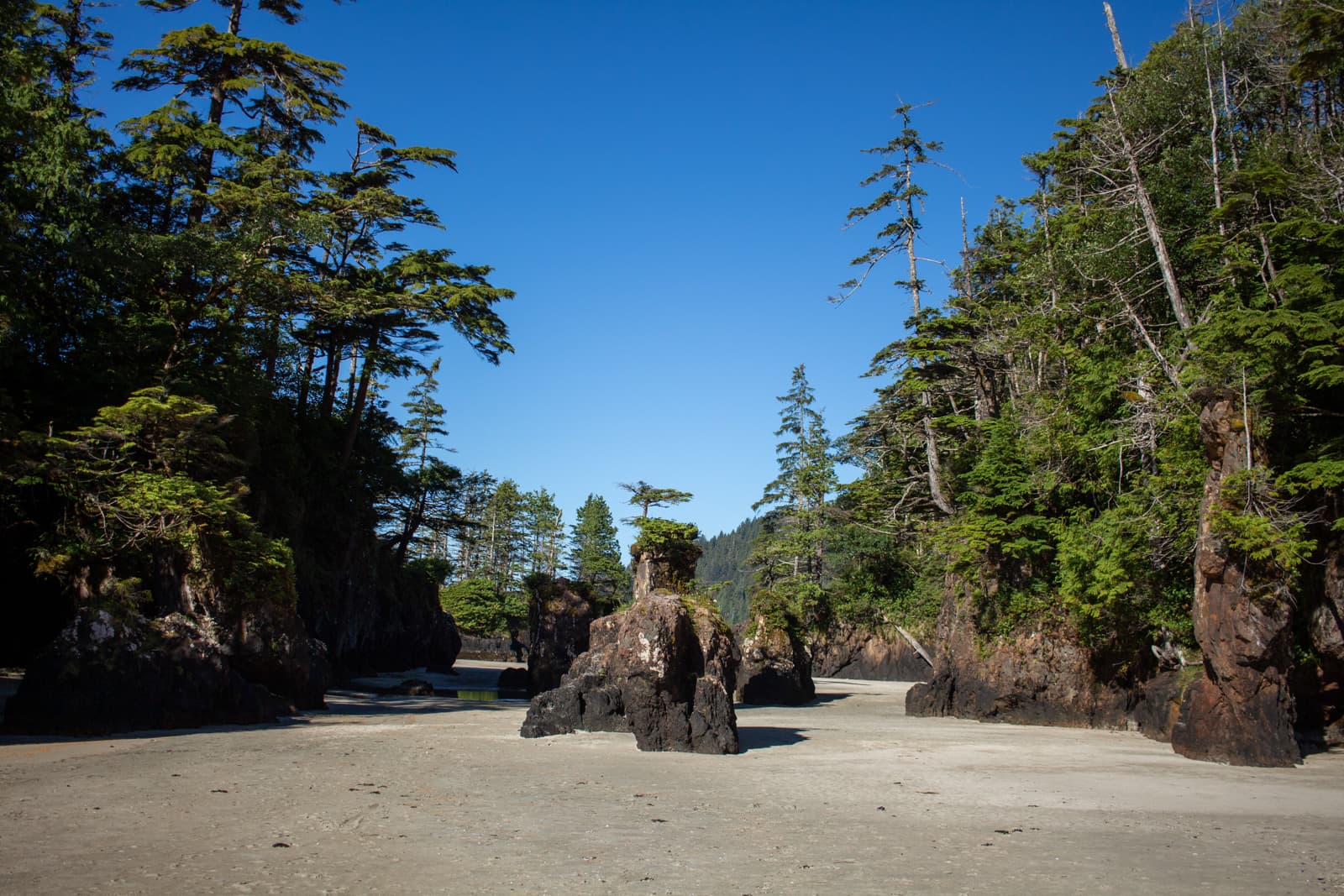 cape scott