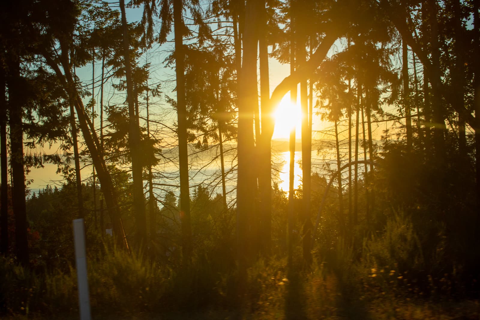 malahat sunshine