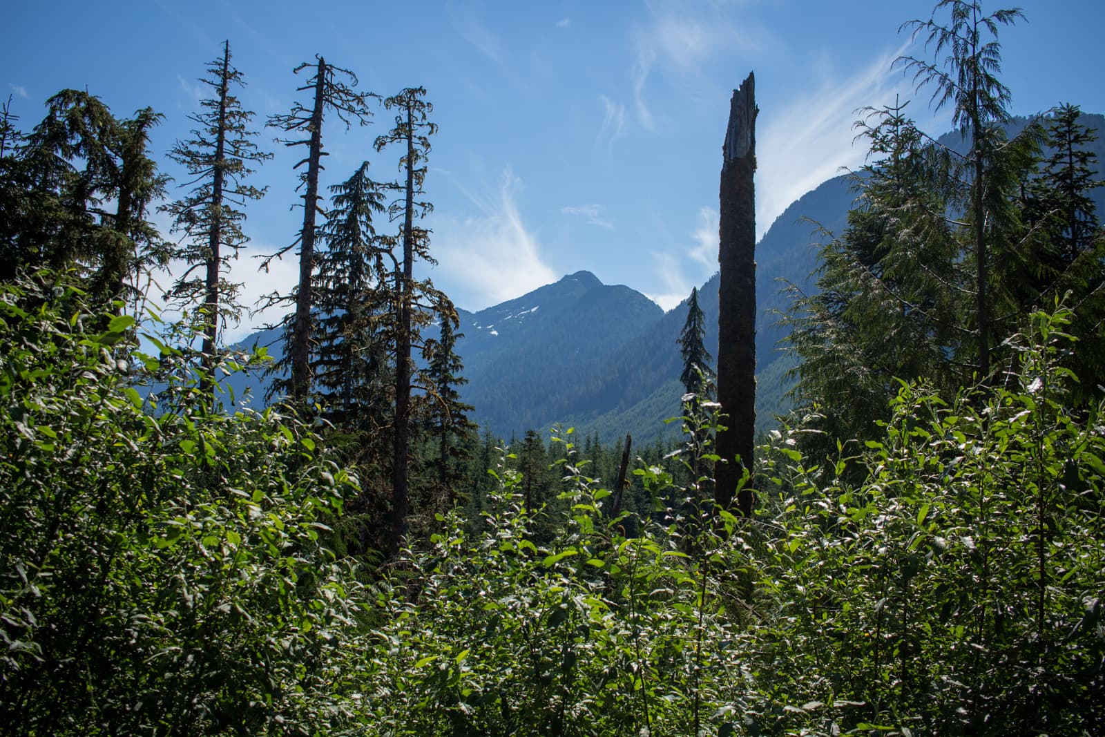 mountain range