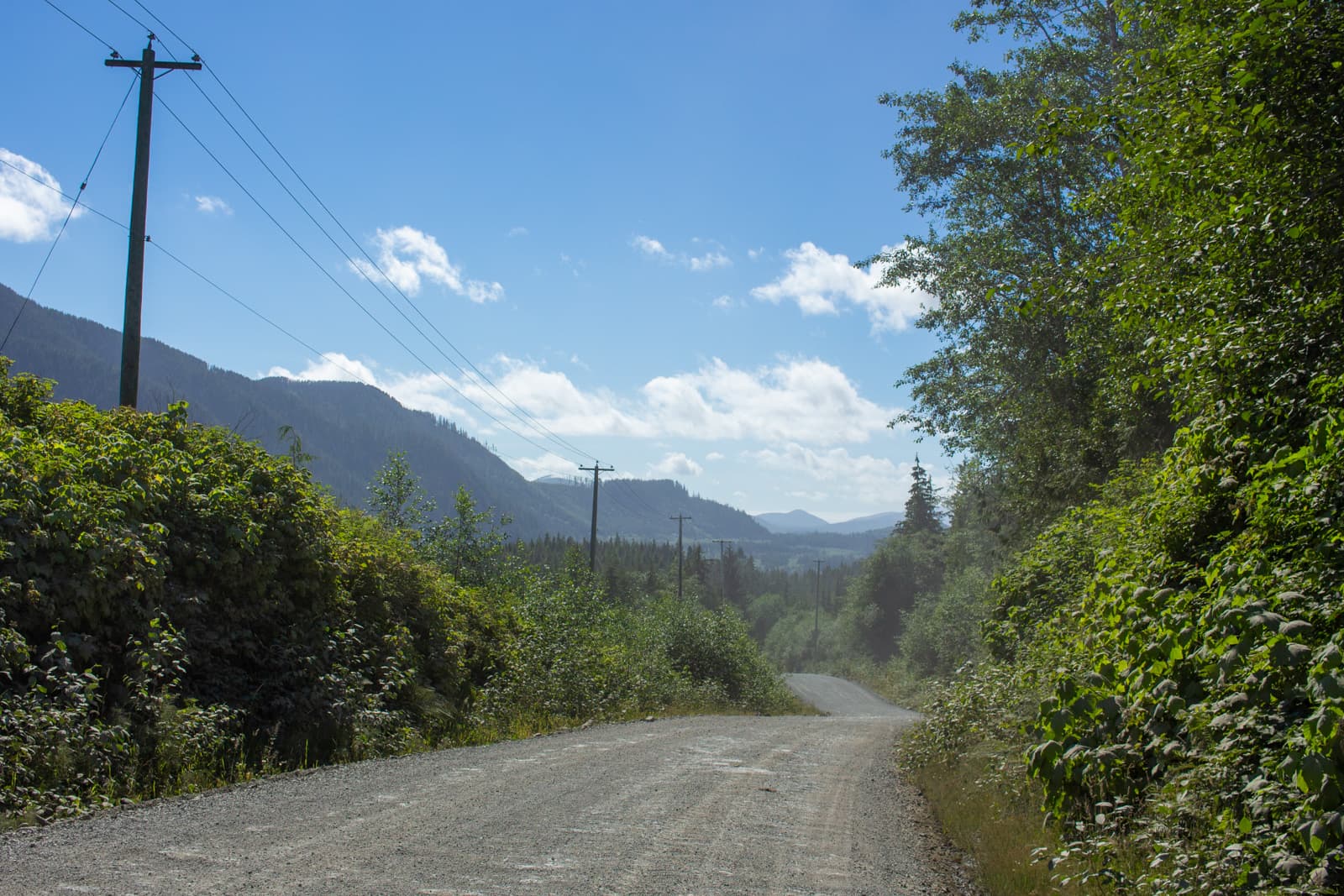 road to holberg