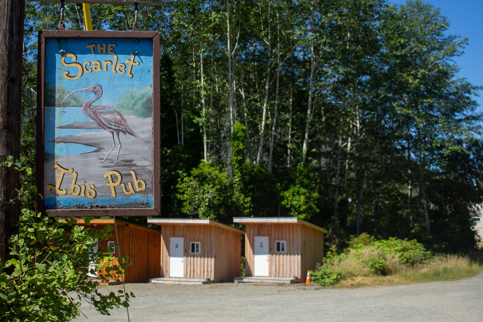 scarlet ibis sign