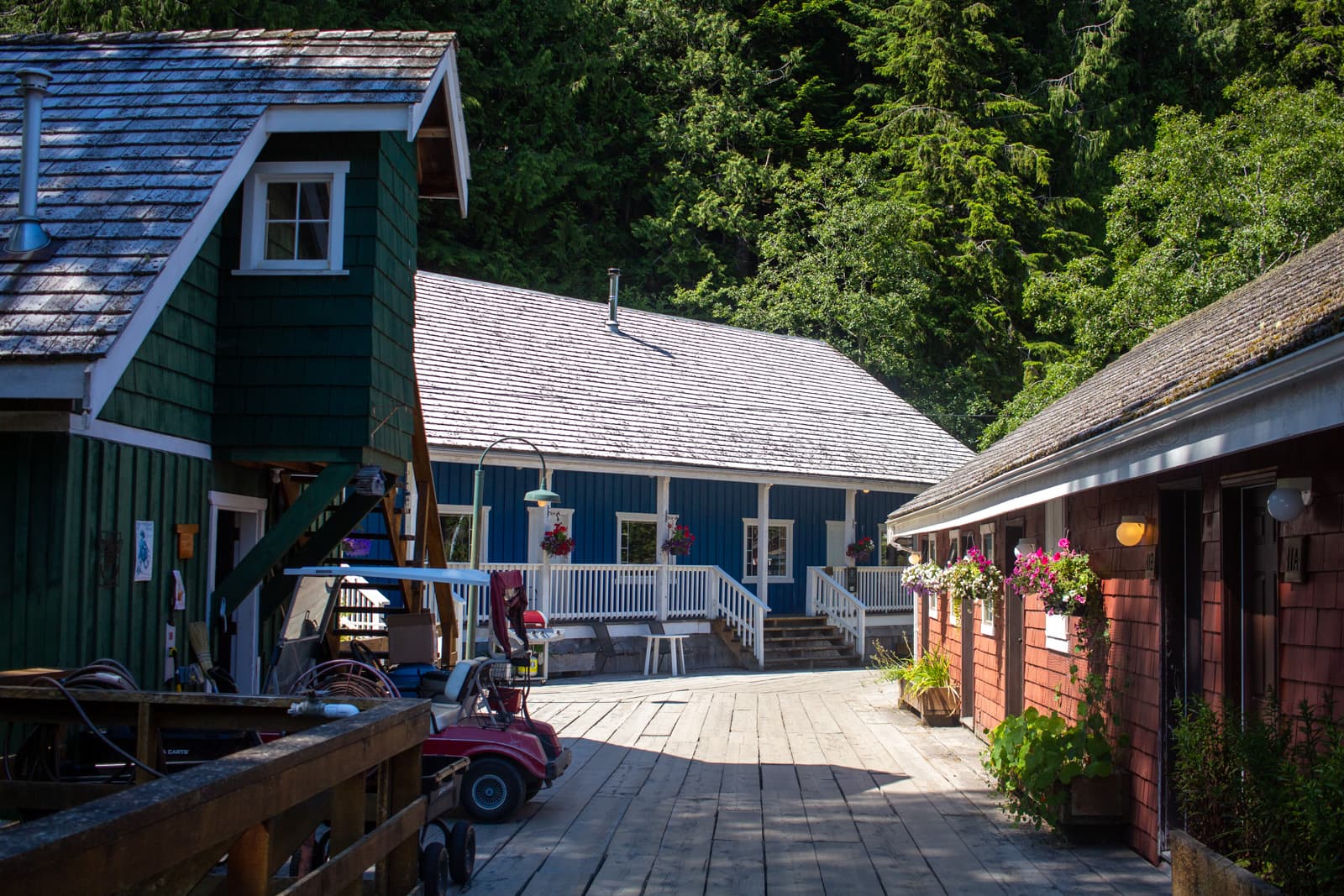 telegraph cove houses