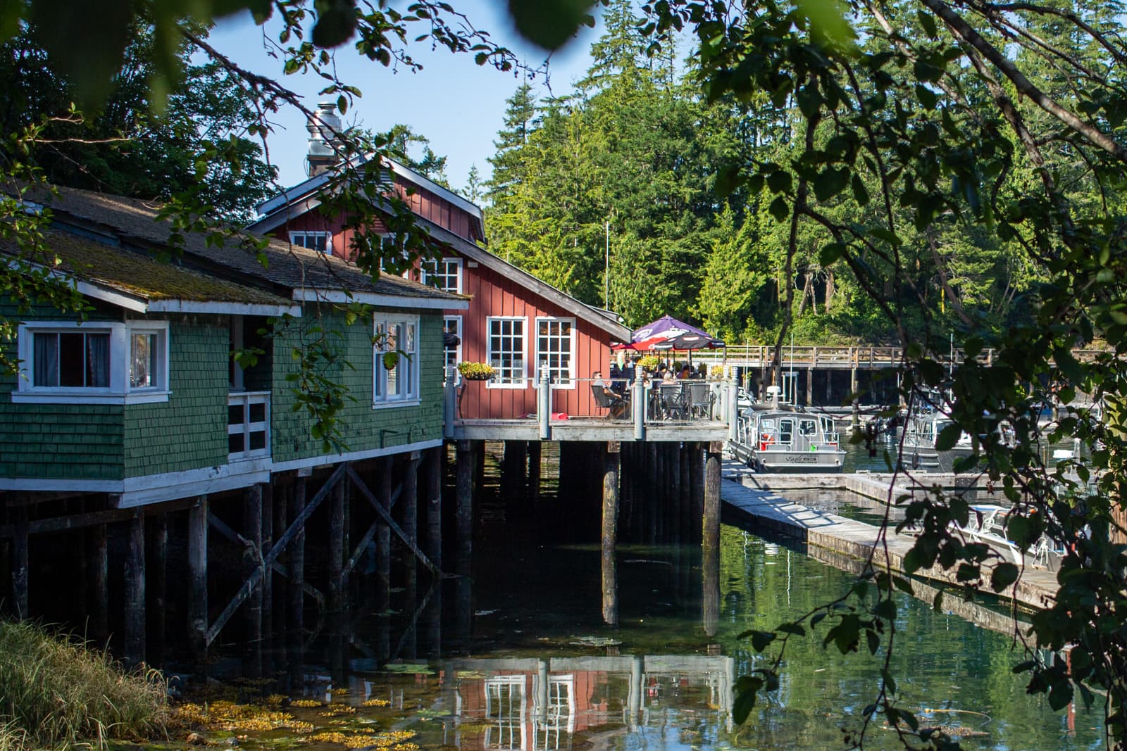 telegraph cove