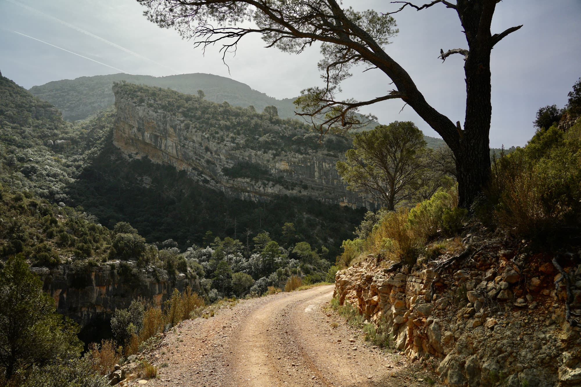 A bikepacking gravel road in Spain.
