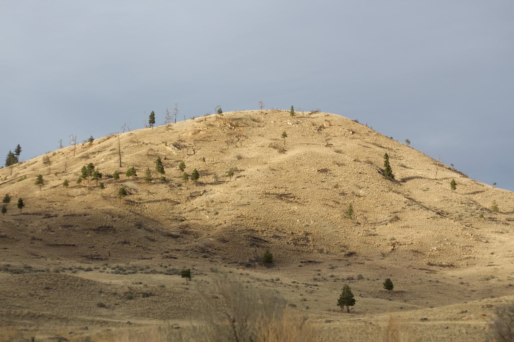 A hill in the grasslands