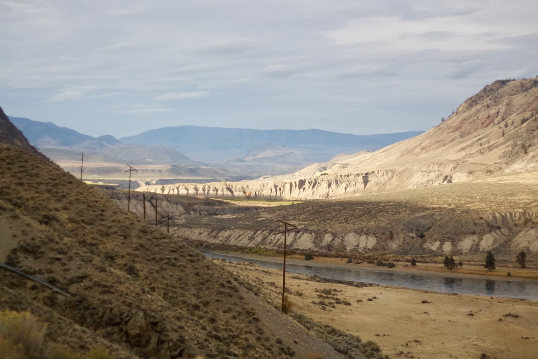TA view of the grasslands