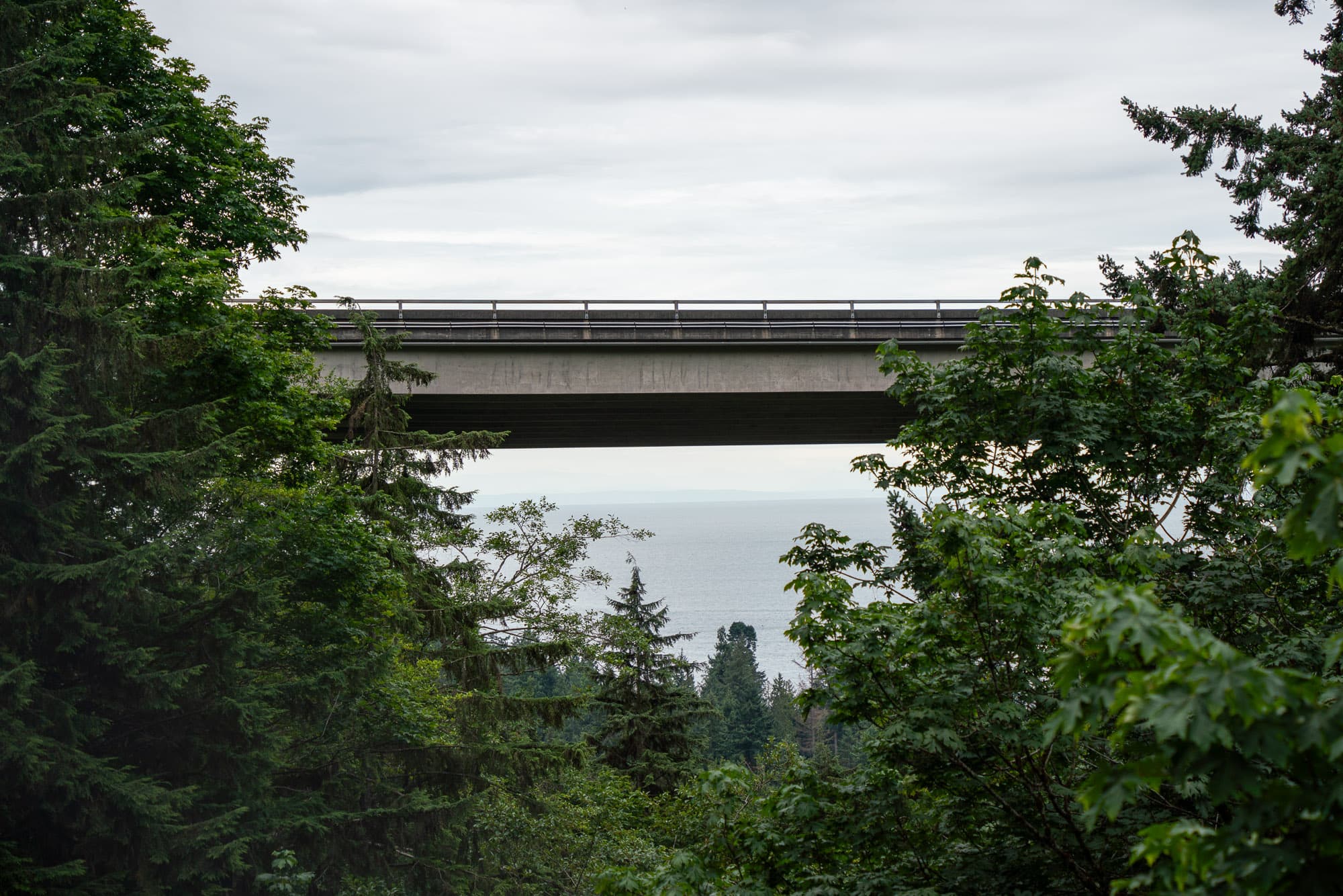 bridge in the sky