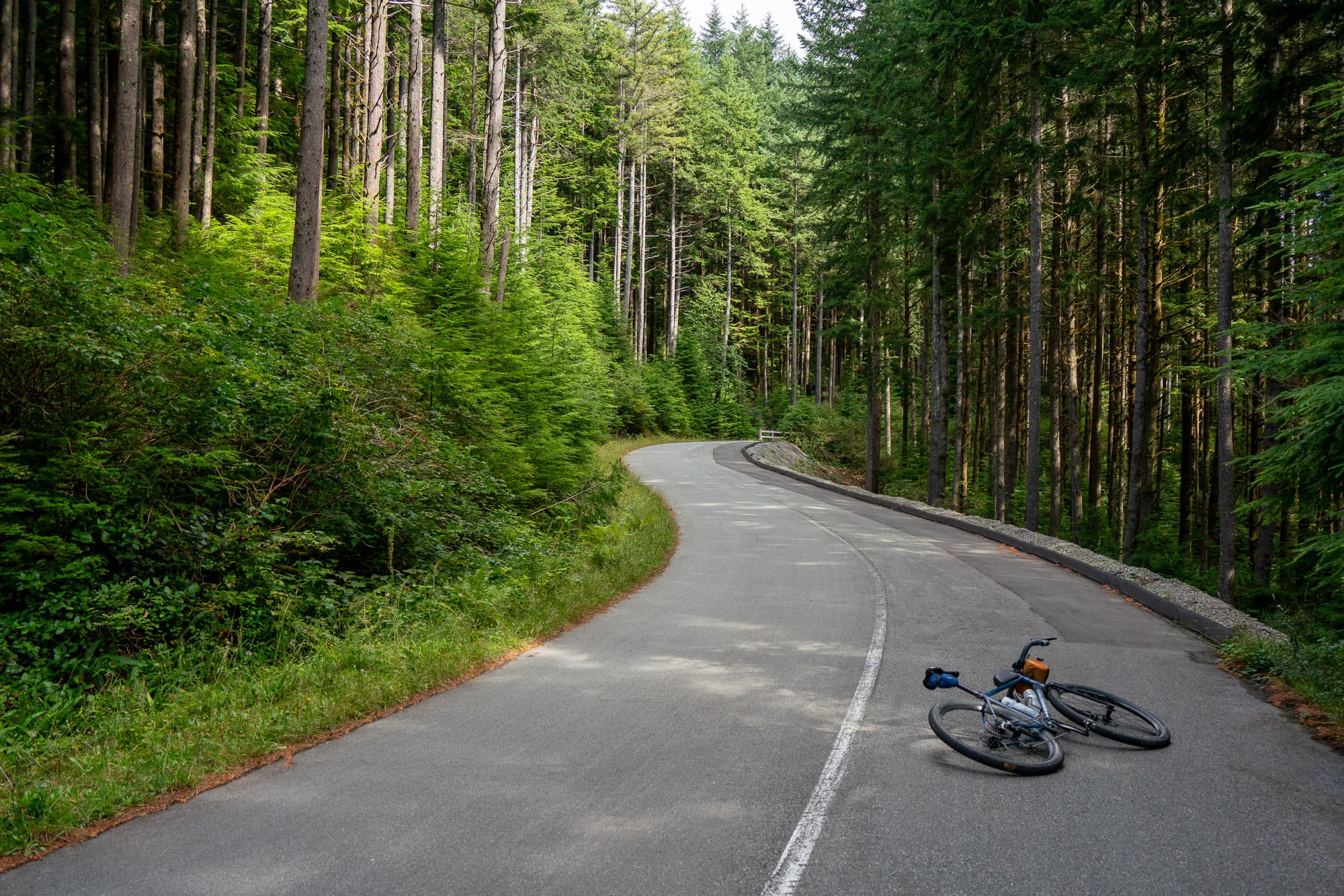 forest road
