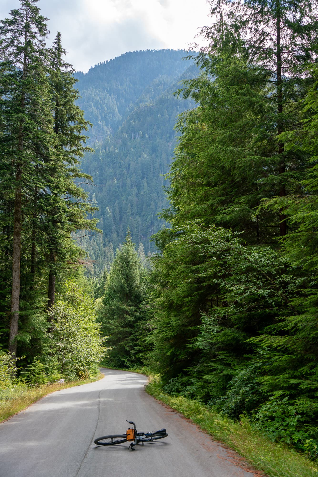 forest service road