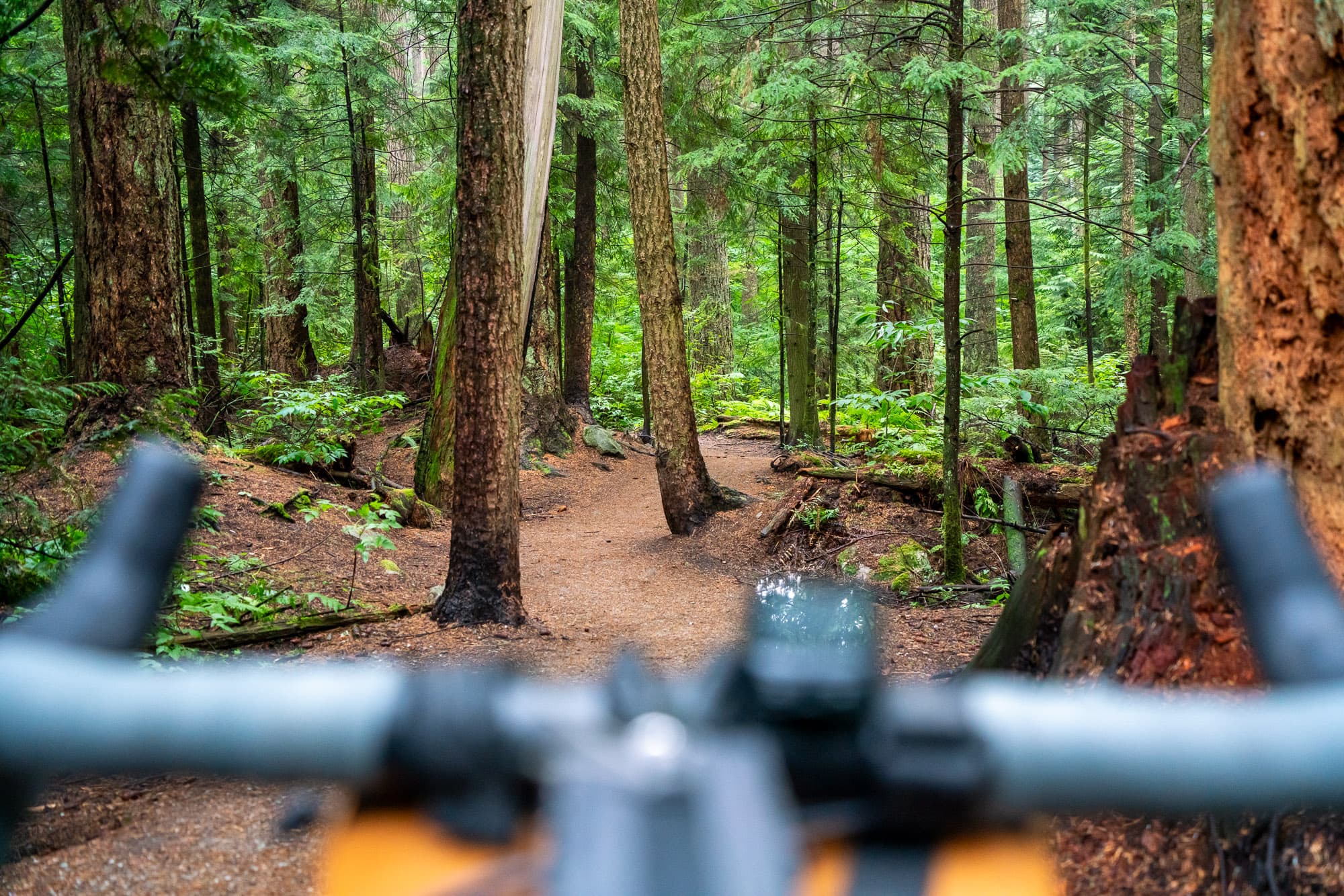pacific spirit park