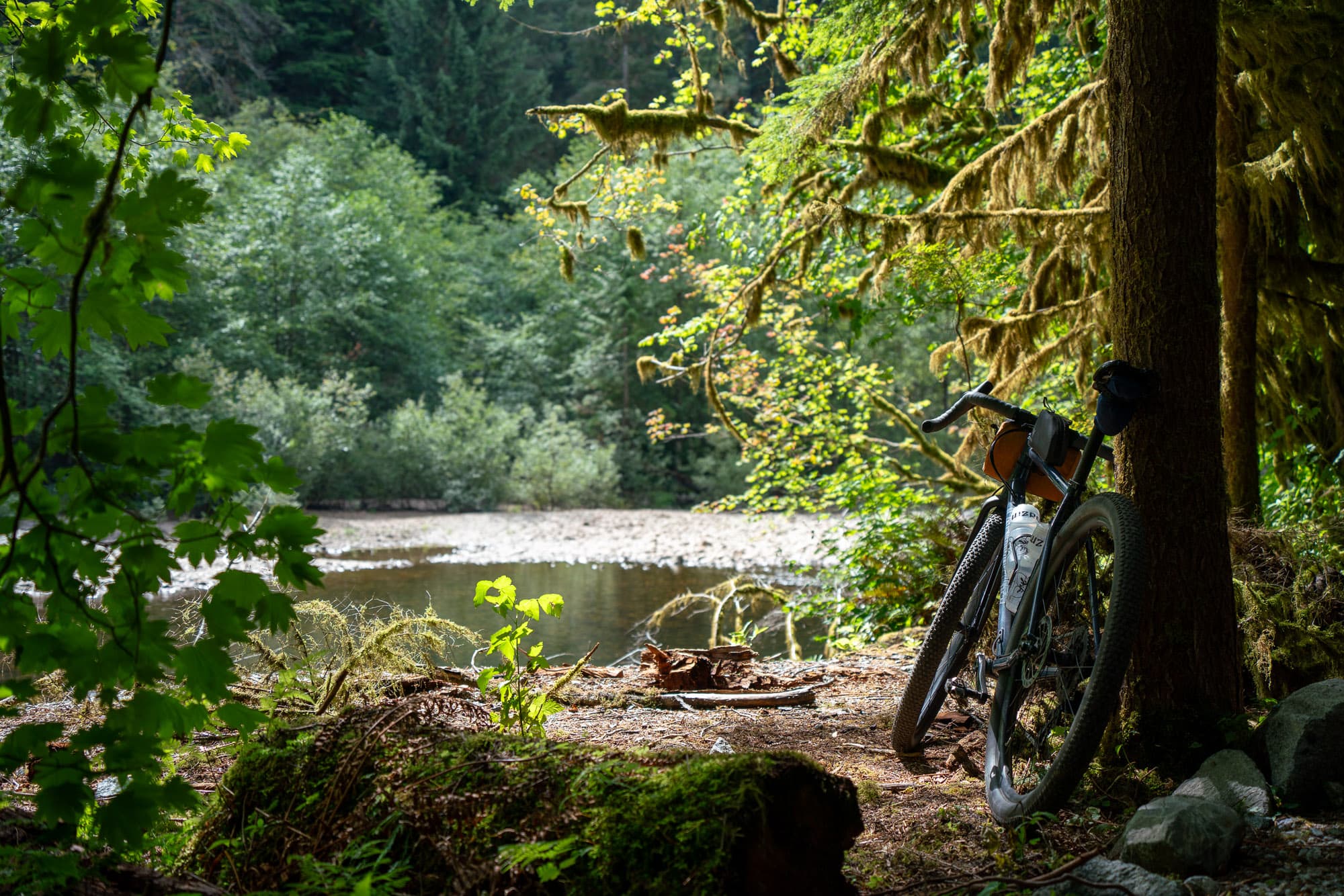 resting bike