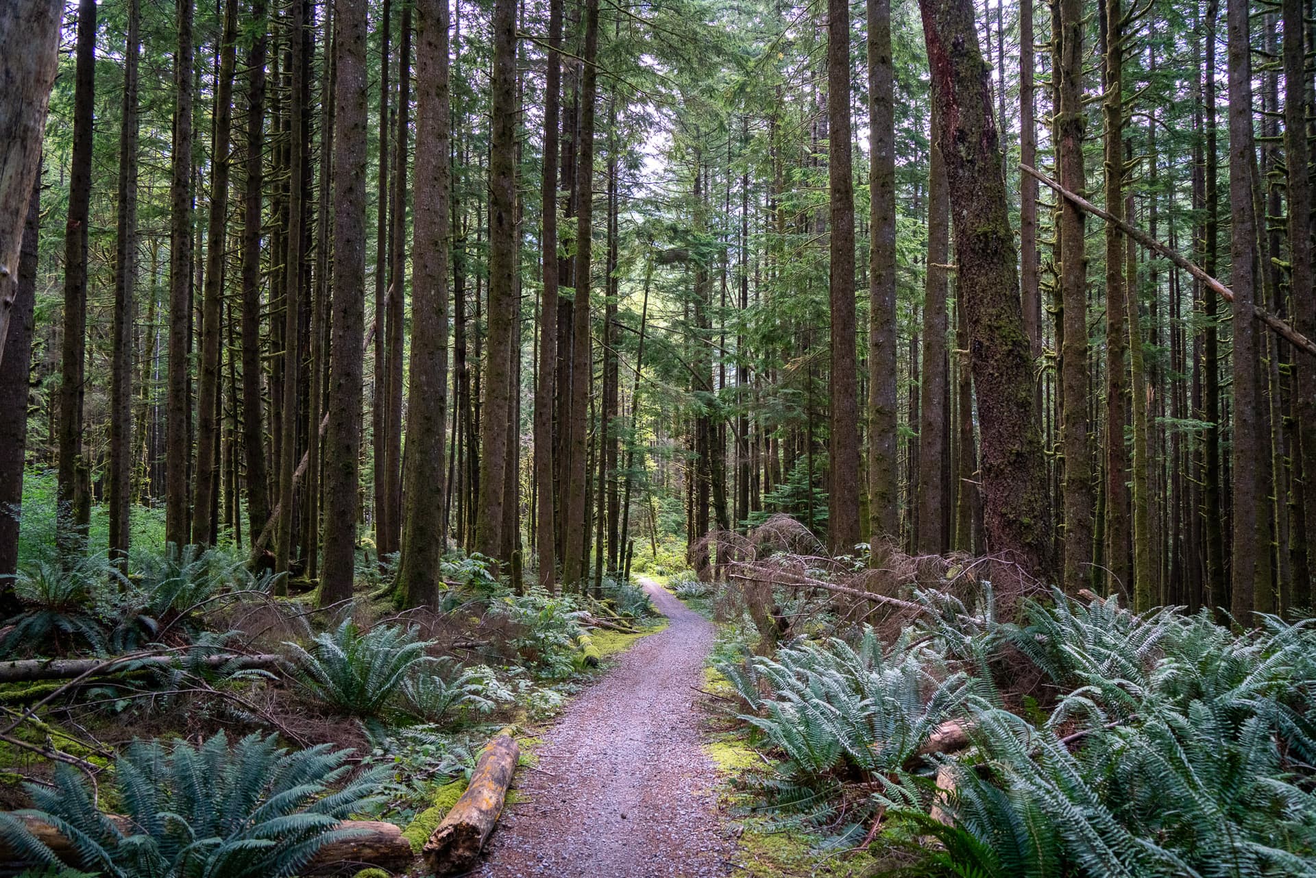 Seymour Valley