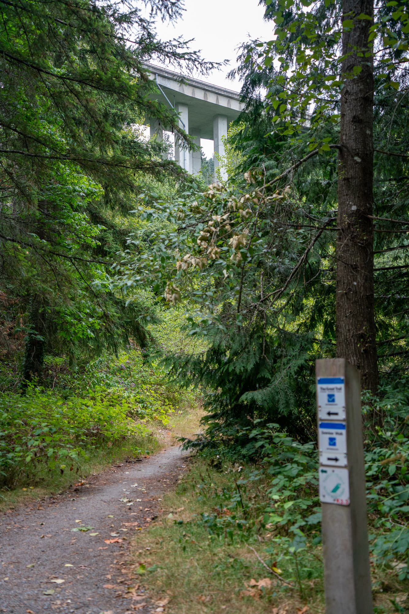 under overpass