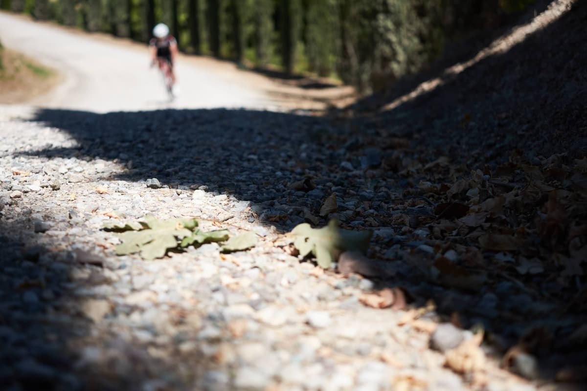 Two Wheels and the Weight of Loss