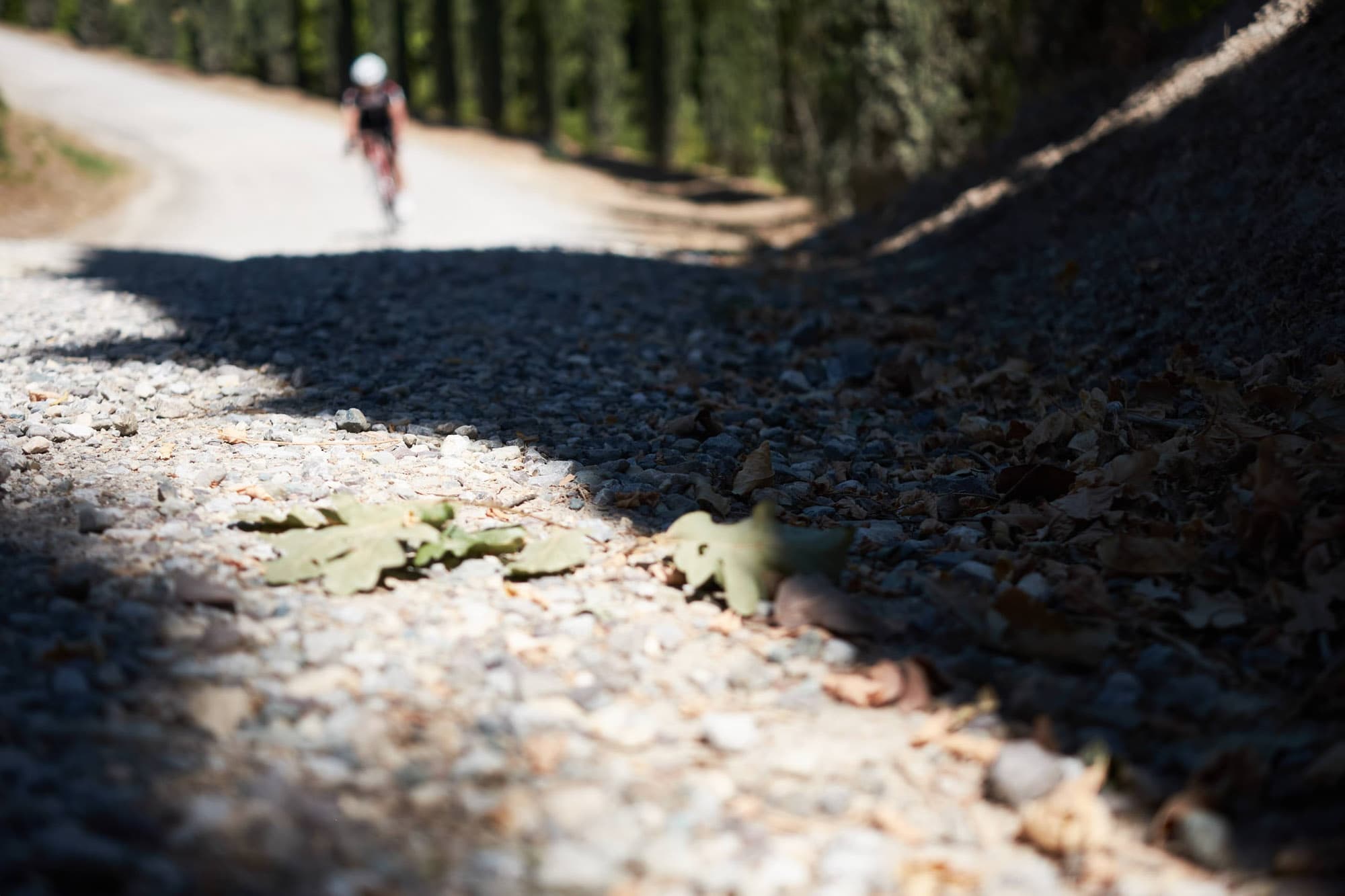 Two Wheels and the Weight of Loss