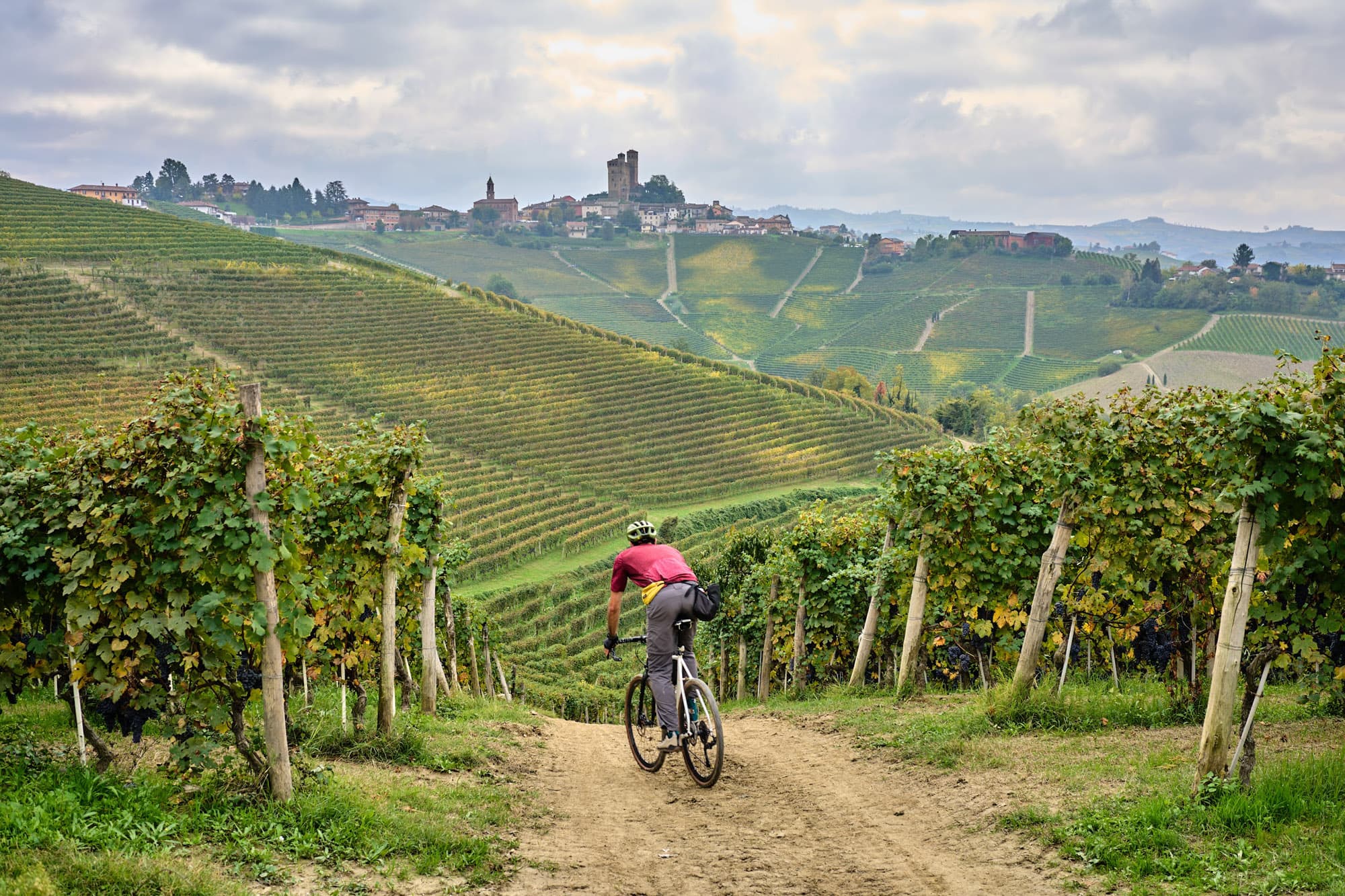 Davide rides in Italian vineyards.