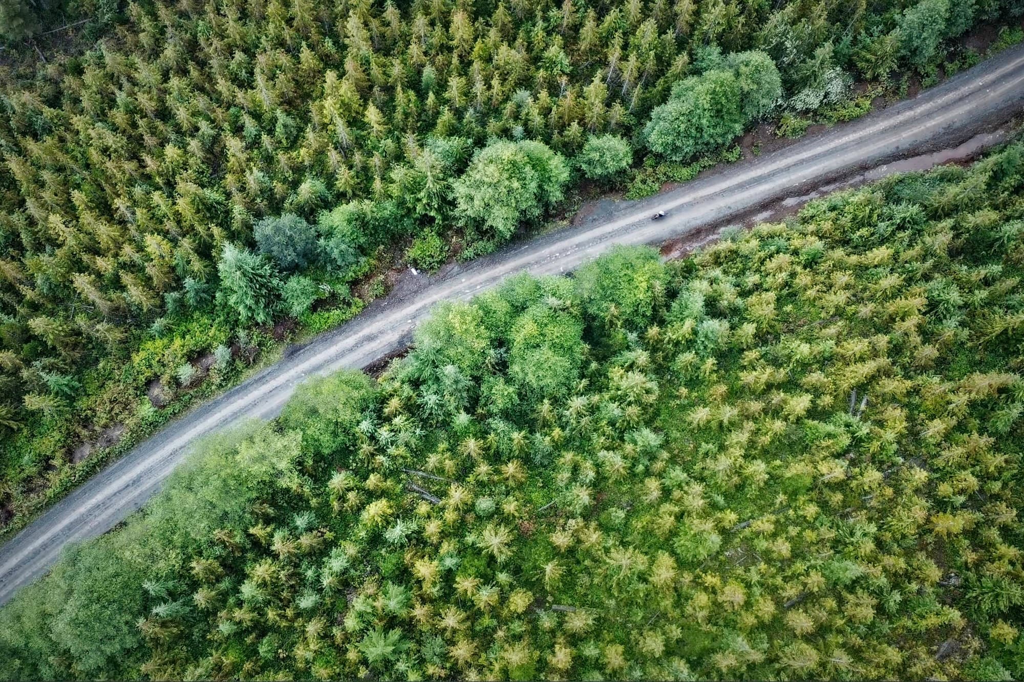 A lone rider from above on a resource road threading the forest