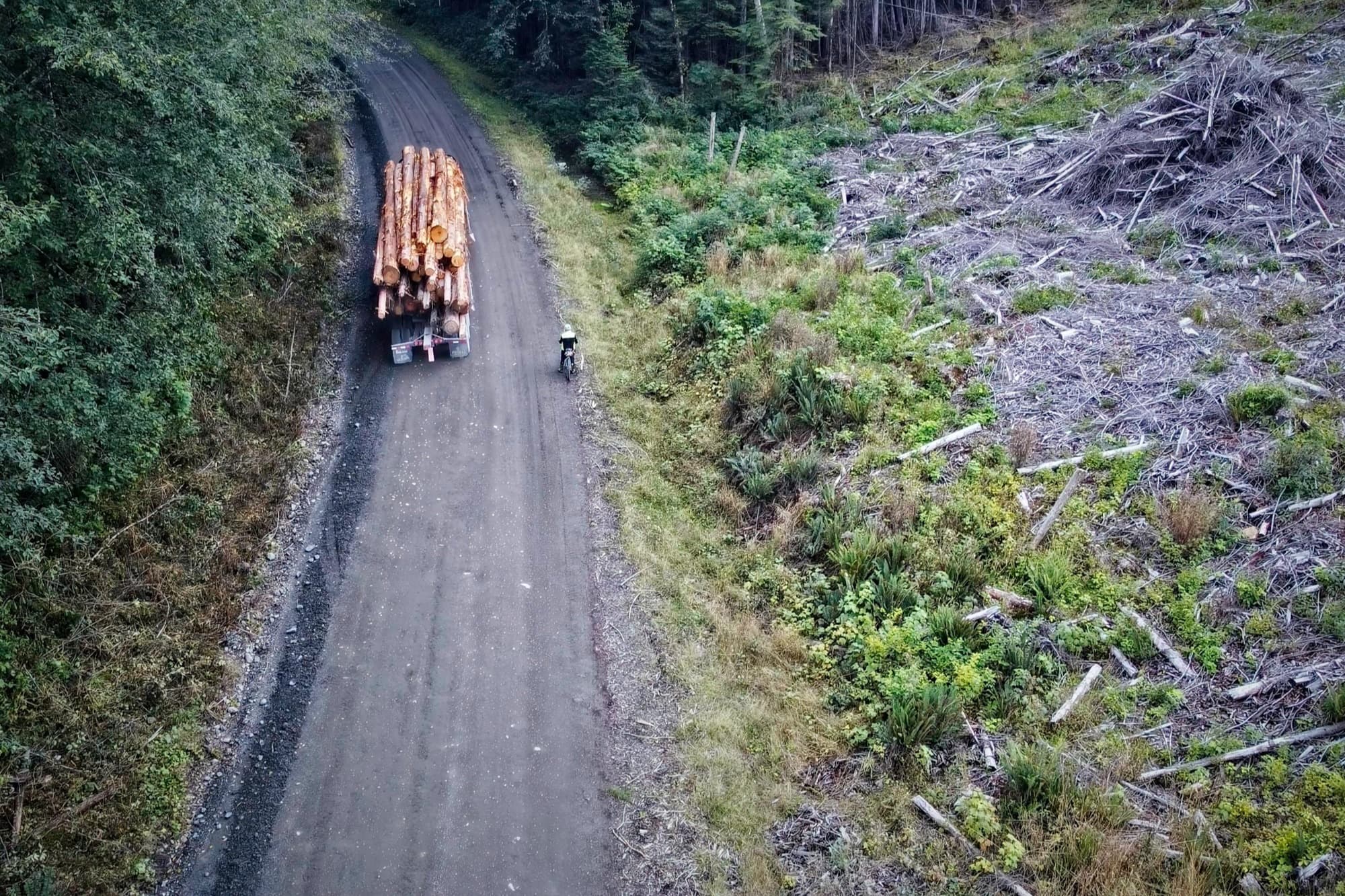 Sharing the road: a cyclist tails a loaded logging truck past a fresh cut block