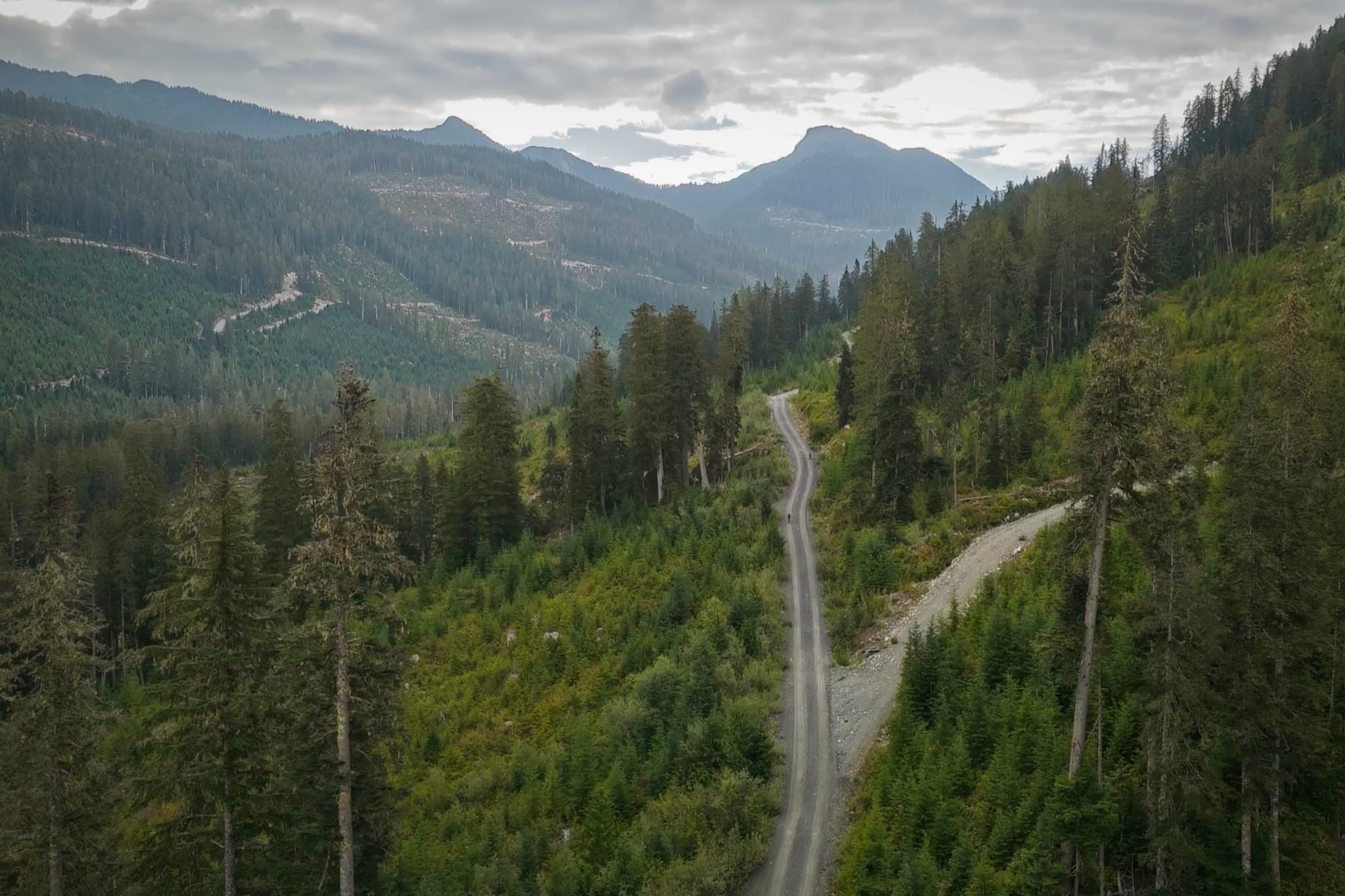 A resource road winding deep into a valley of cut blocks and standing timber