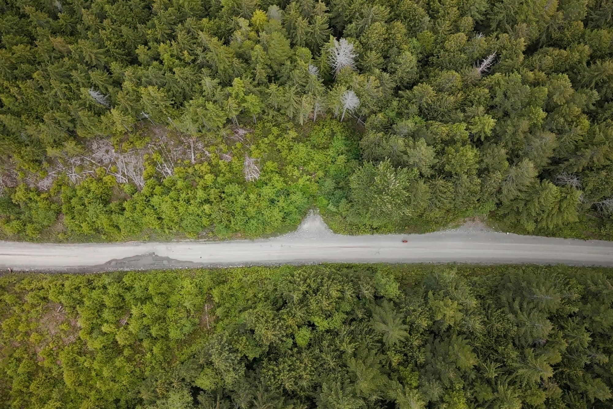 The road from directly overhead, a thin grey line through the green