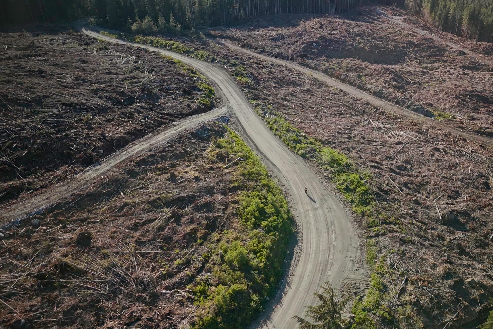 Riding the haul road through an active harvest area