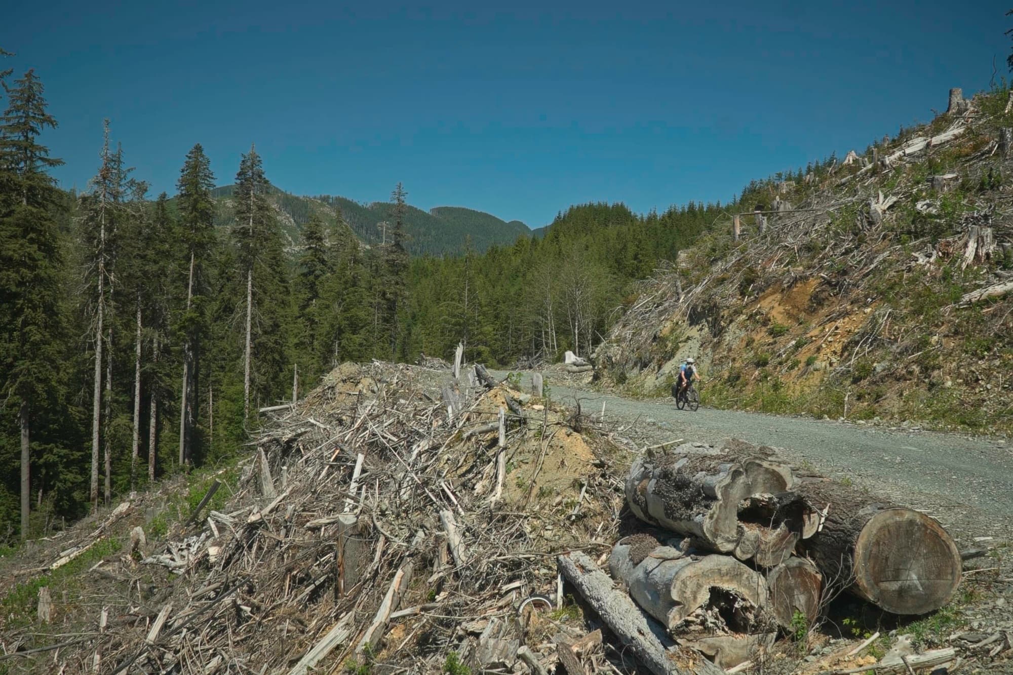 Passing stacked logs and slash on the shoulder of the cut