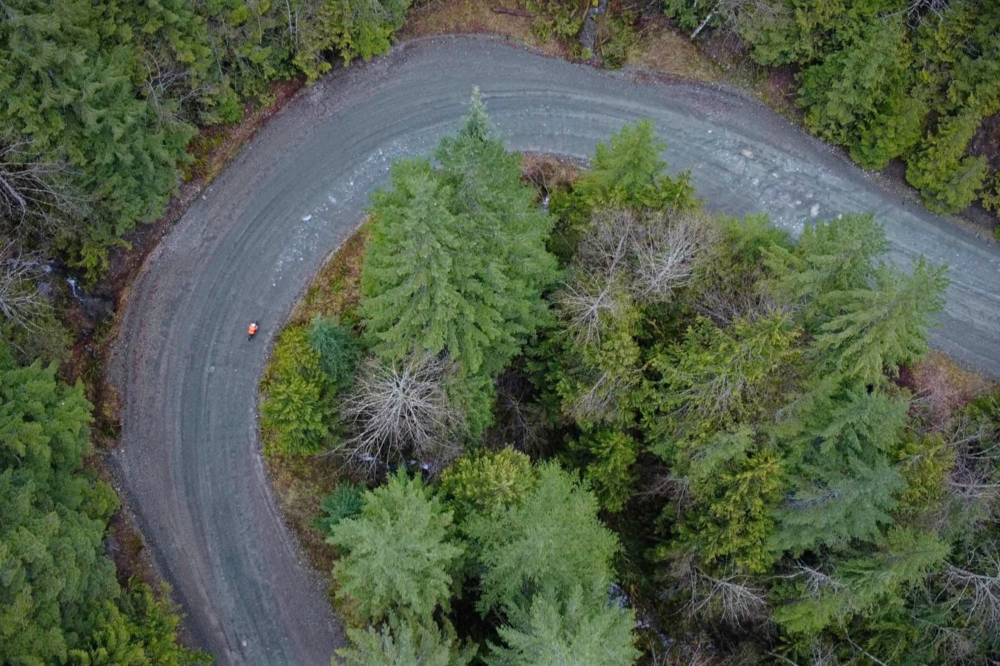 Top-down view of a hairpin turn wrapped in conifers