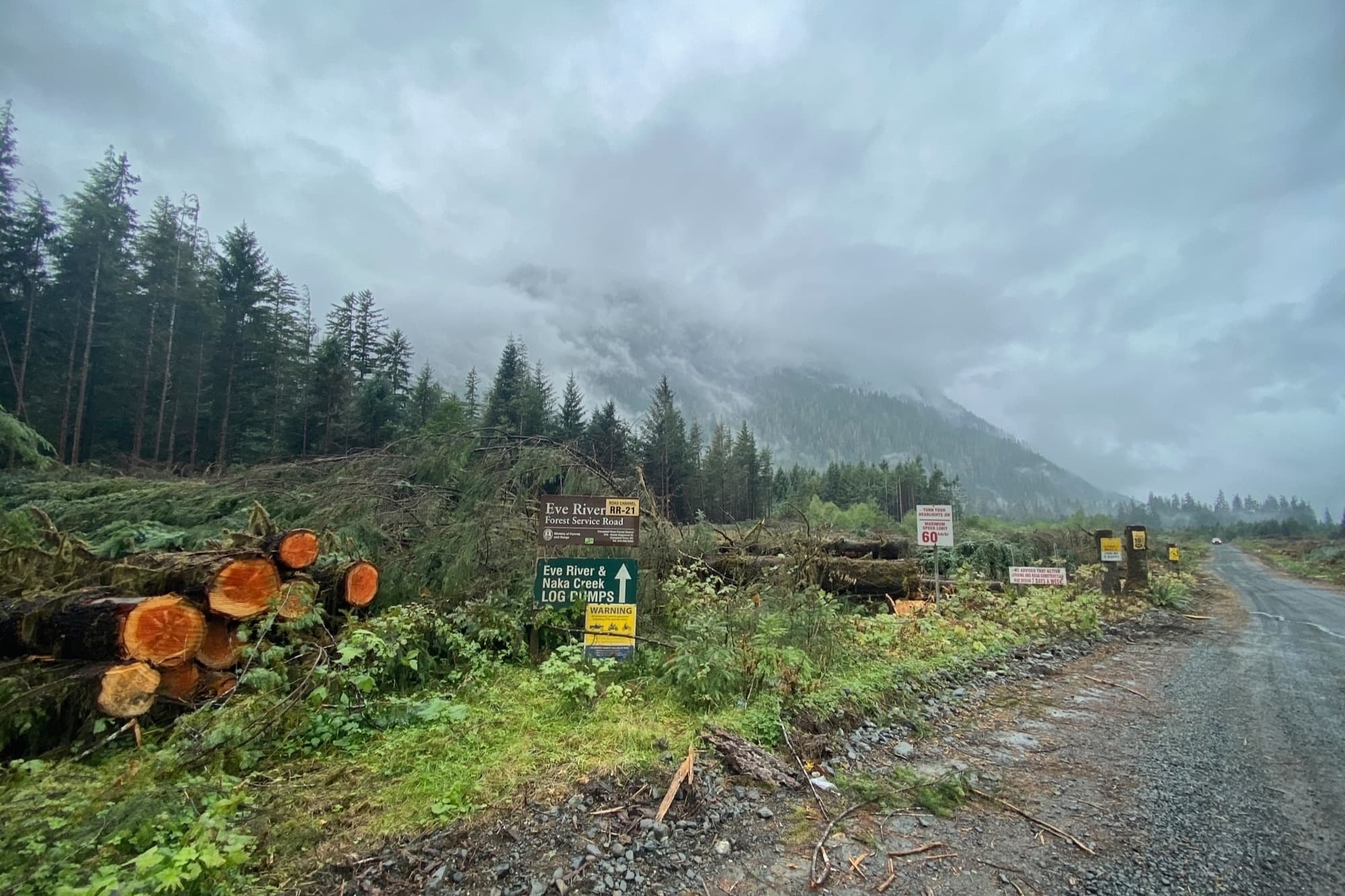 Eve River Forest Service Road signs at the edge of a misty cut block