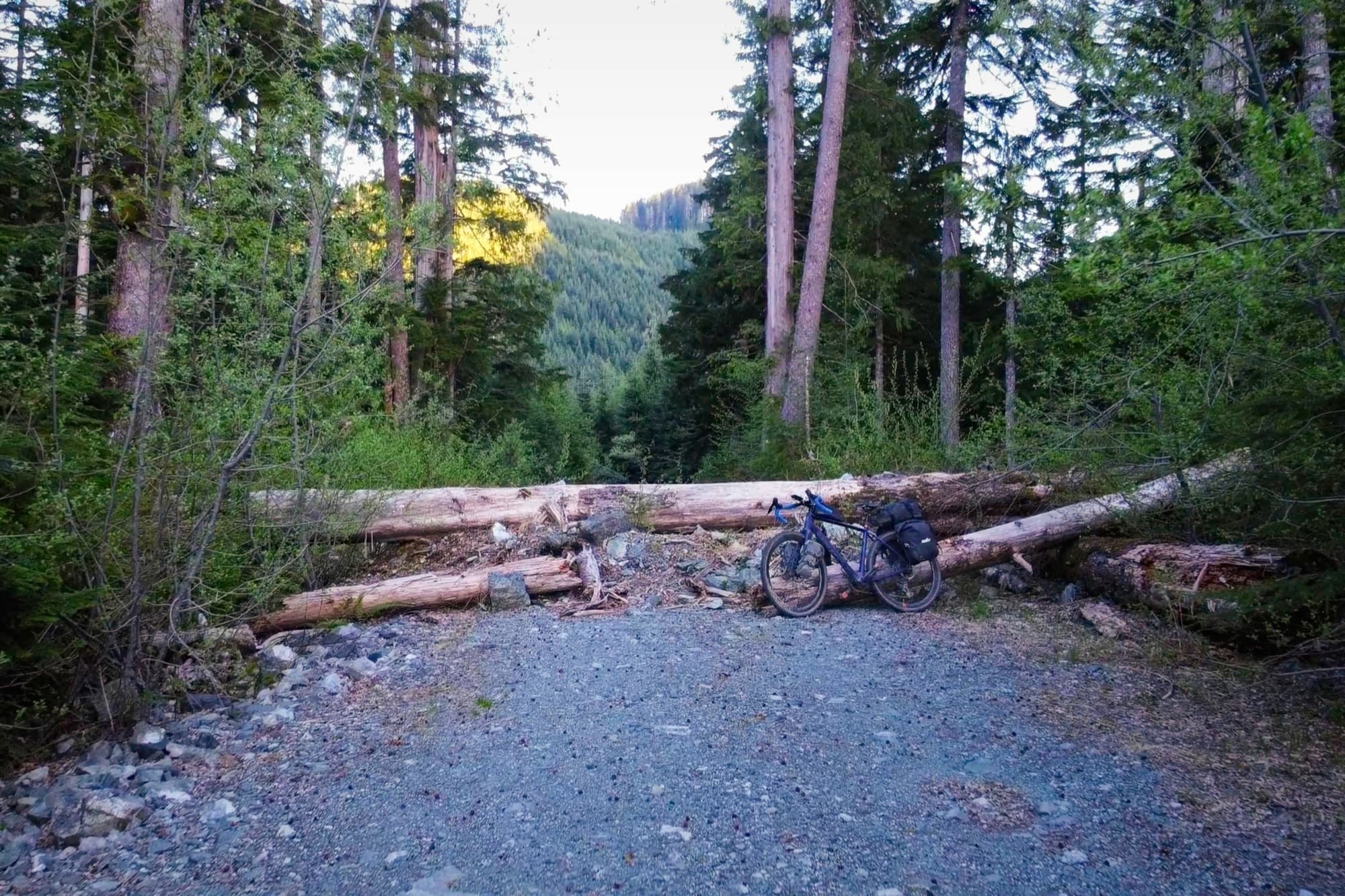 A loaded gravel bike leaning on logs piled across a deactivated road
