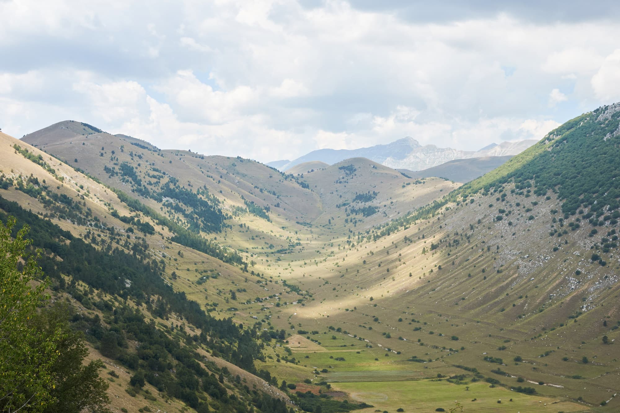 A valeey on the wolfs lair rouute.