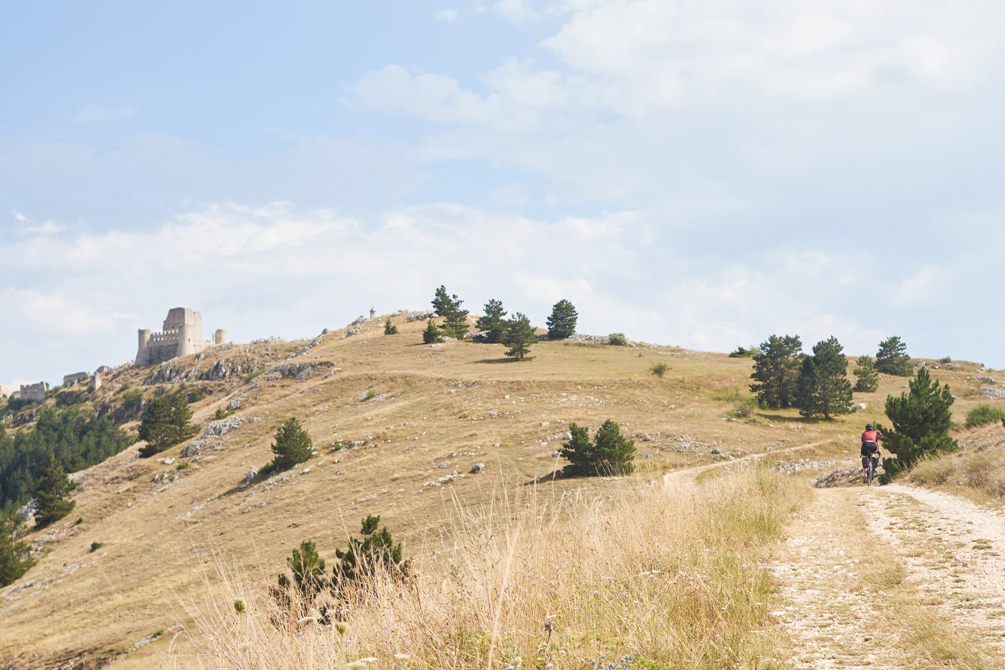 A castle off in the distance.