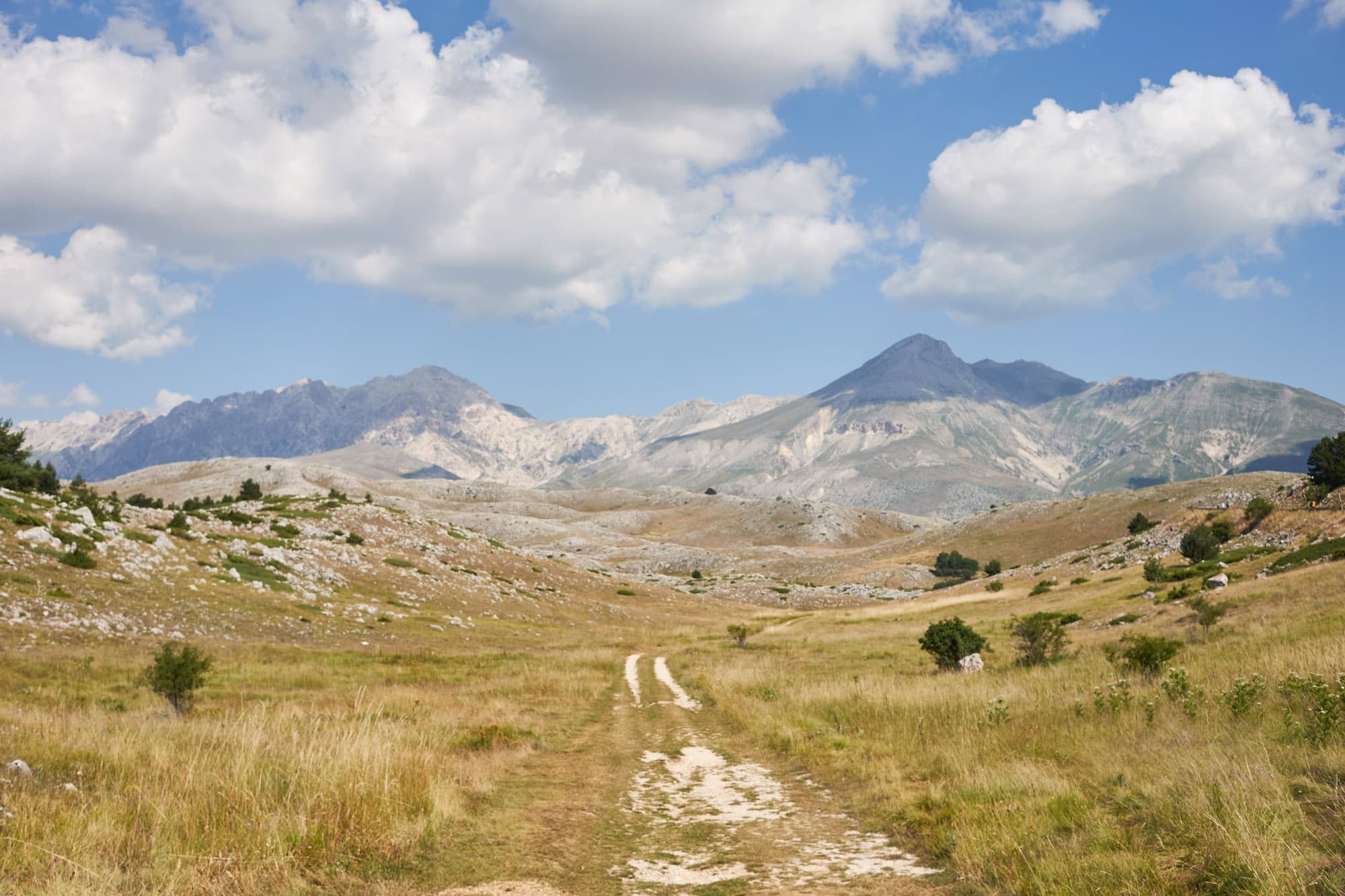 Up into the mountains.