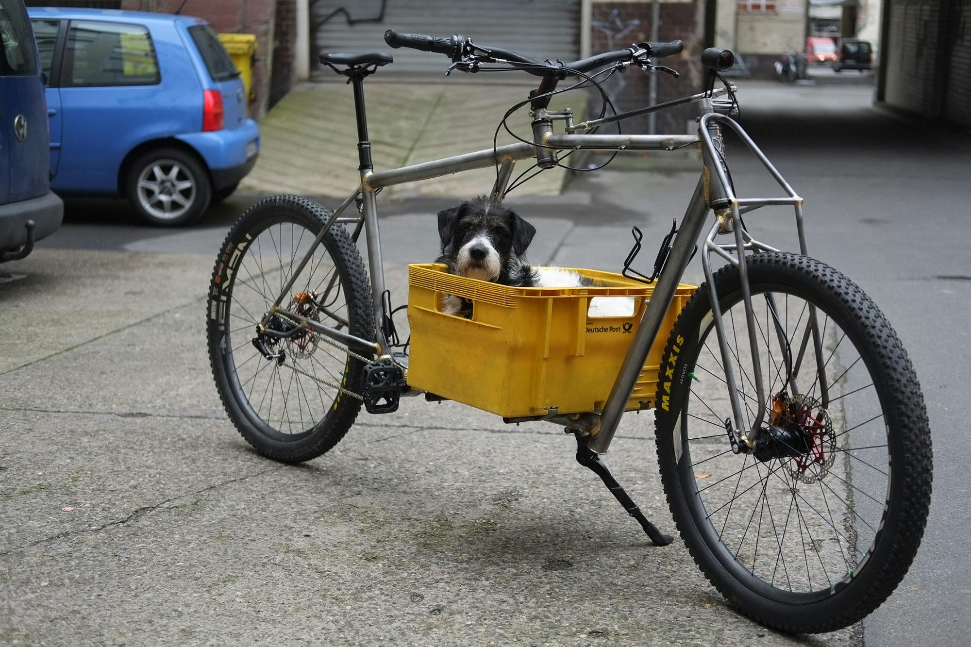 doggo ready ride