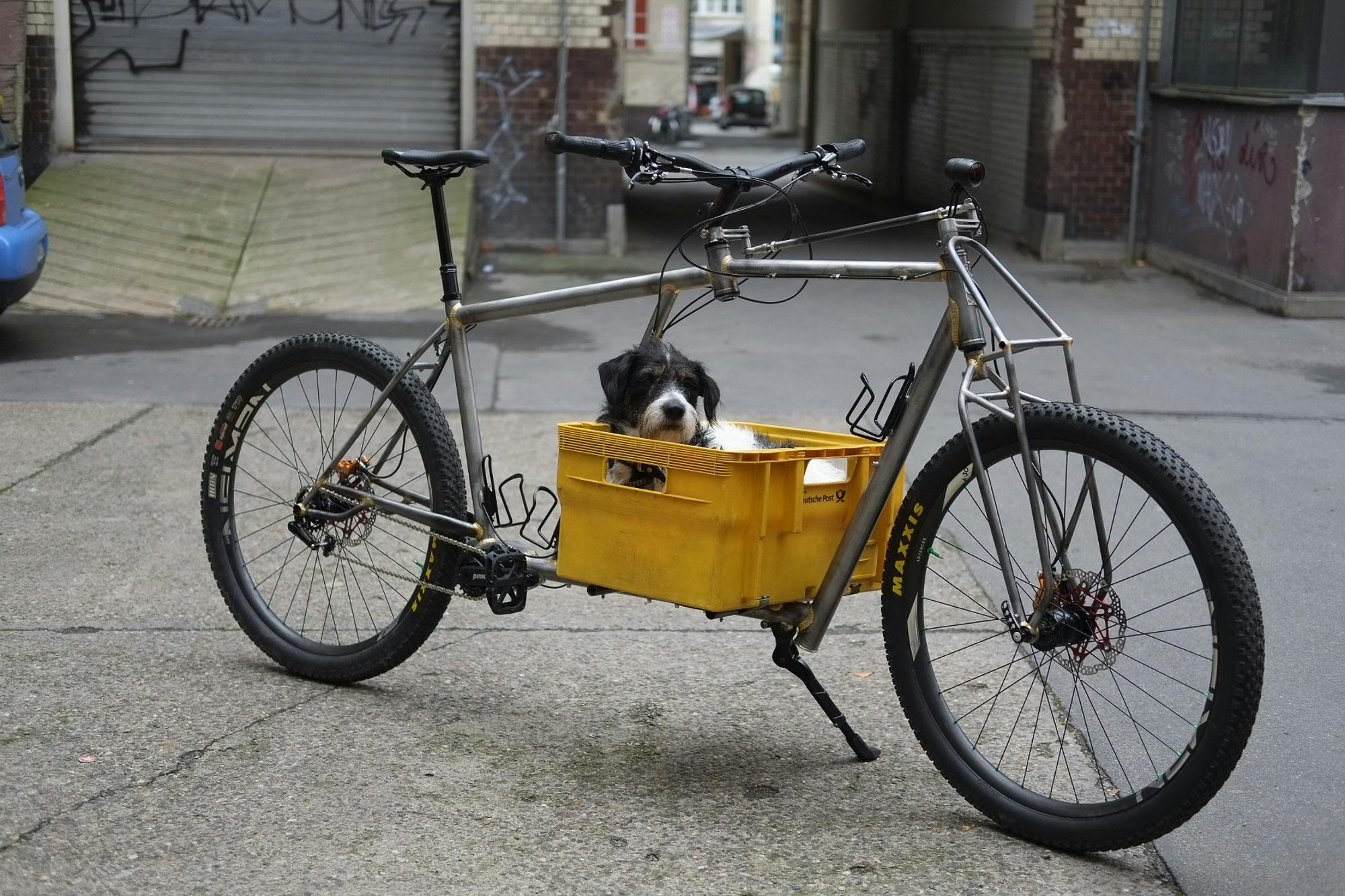 The Doggo Cargo By Drust Cycles