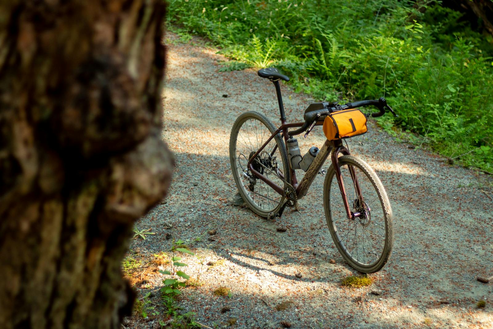 bike behind tree