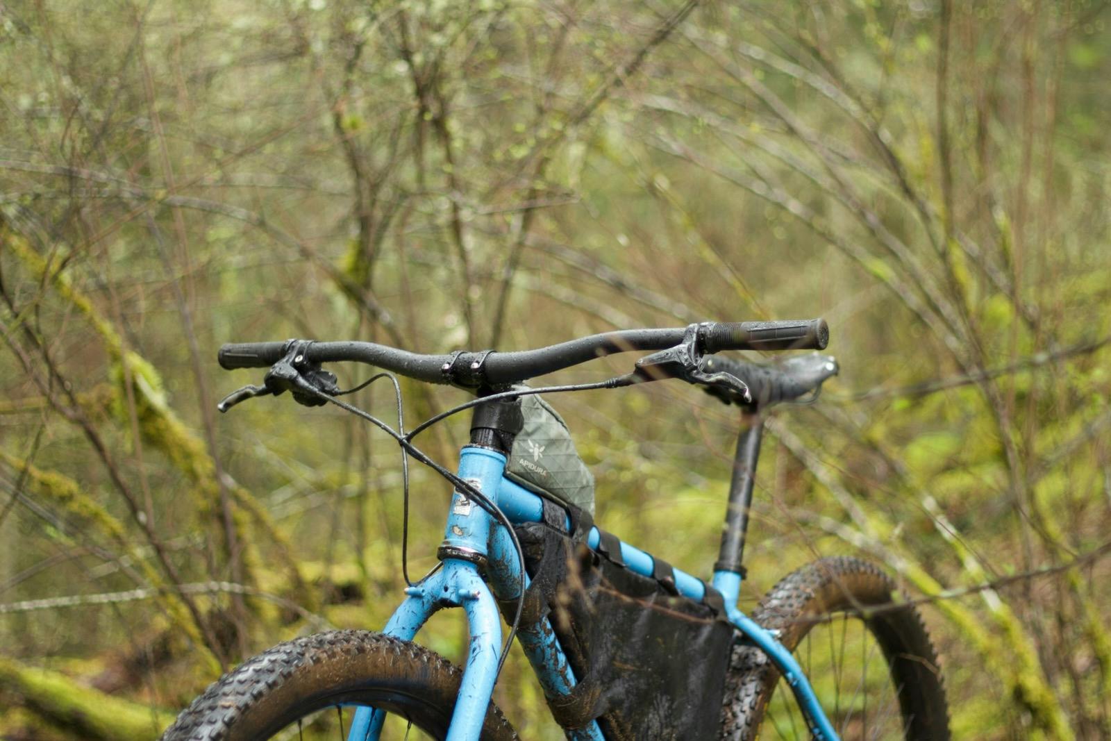 bike in forest