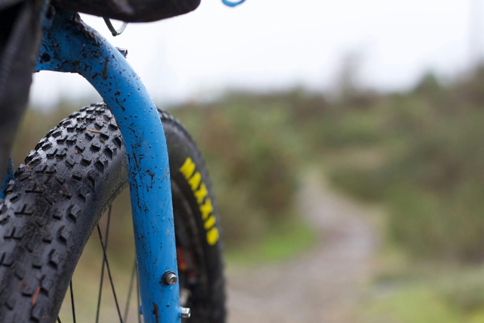 Maxxis Ikons On The Trail
