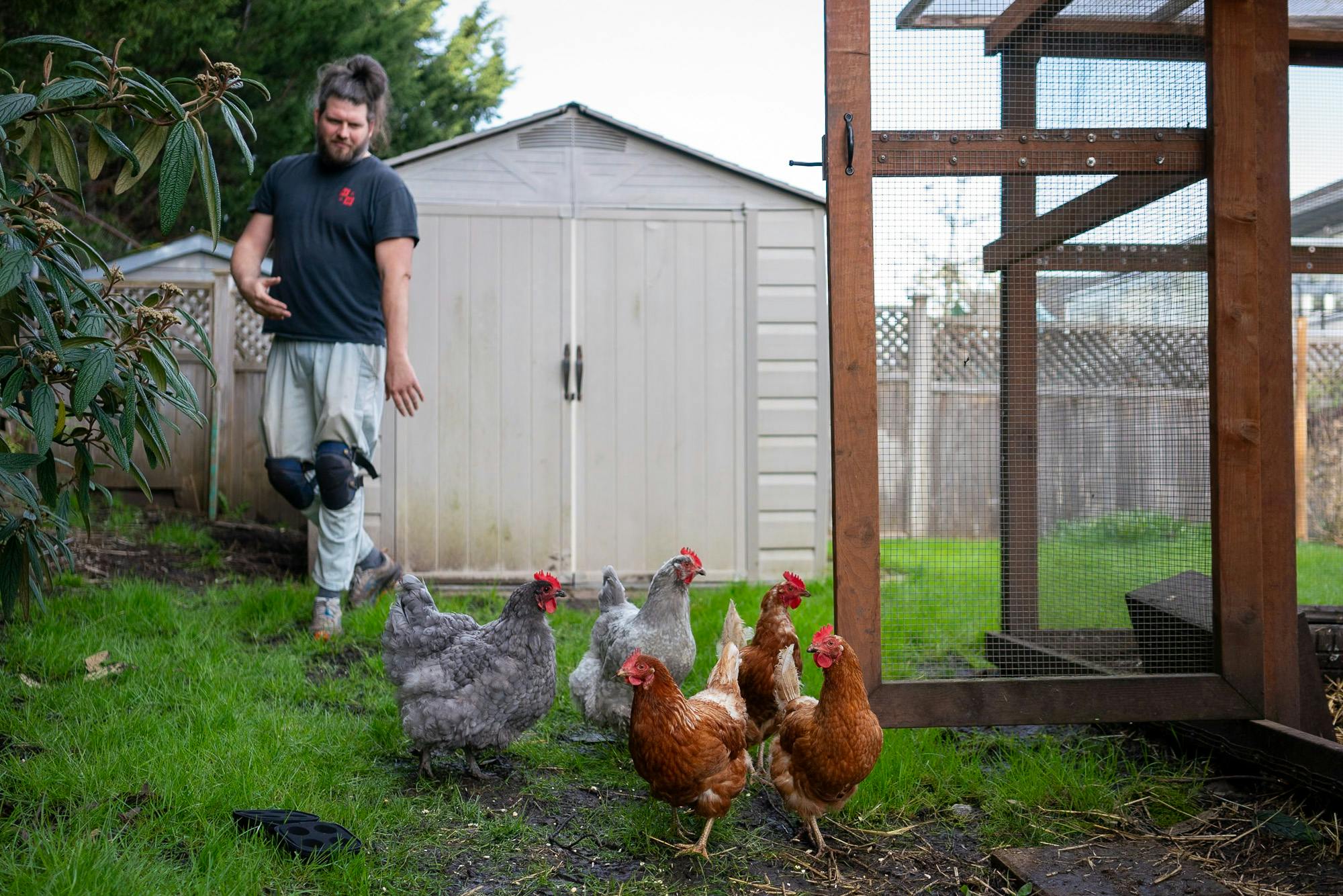 Mattie in his yard with his chickens.