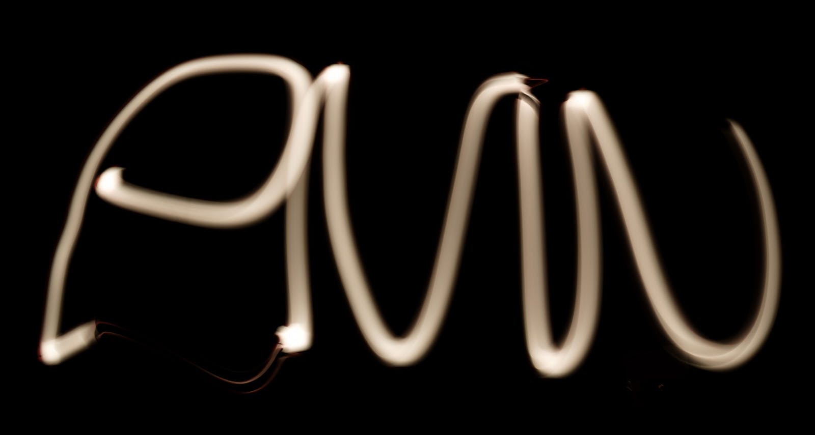 pnw light logo