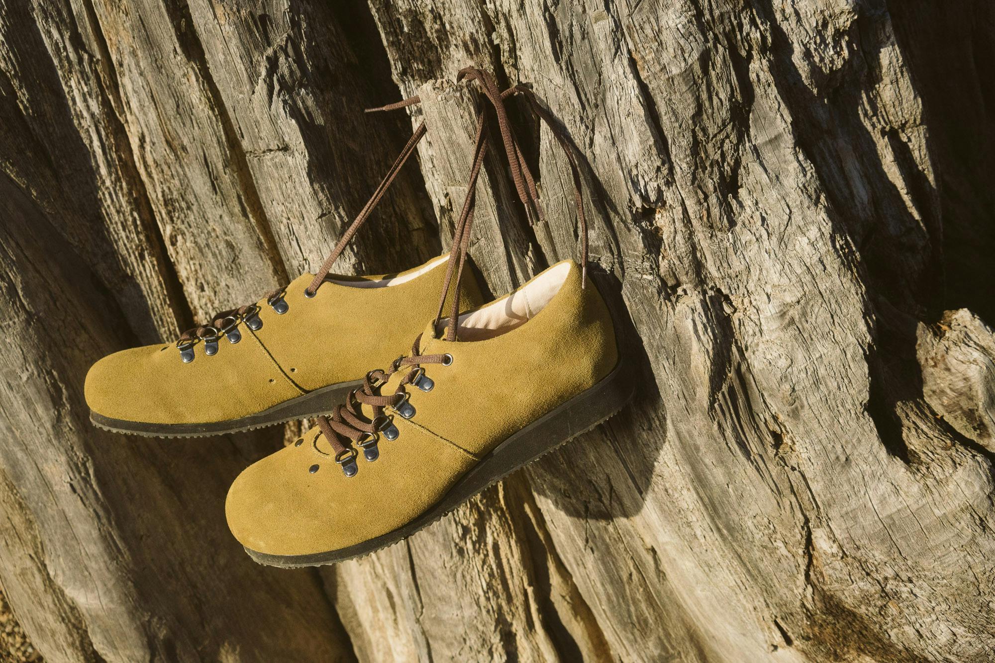 A pair of Stomplox shoes hanging on a tree.