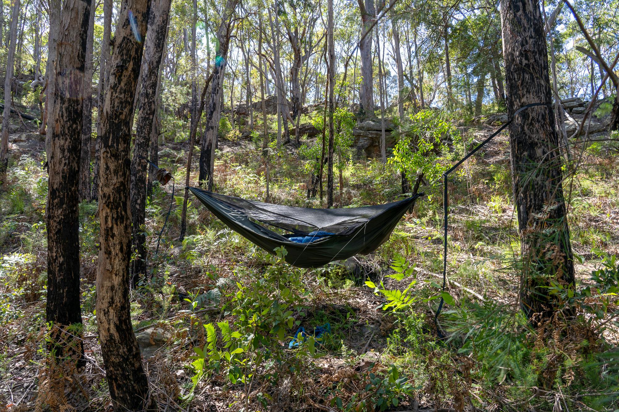 hammock tent in the trees