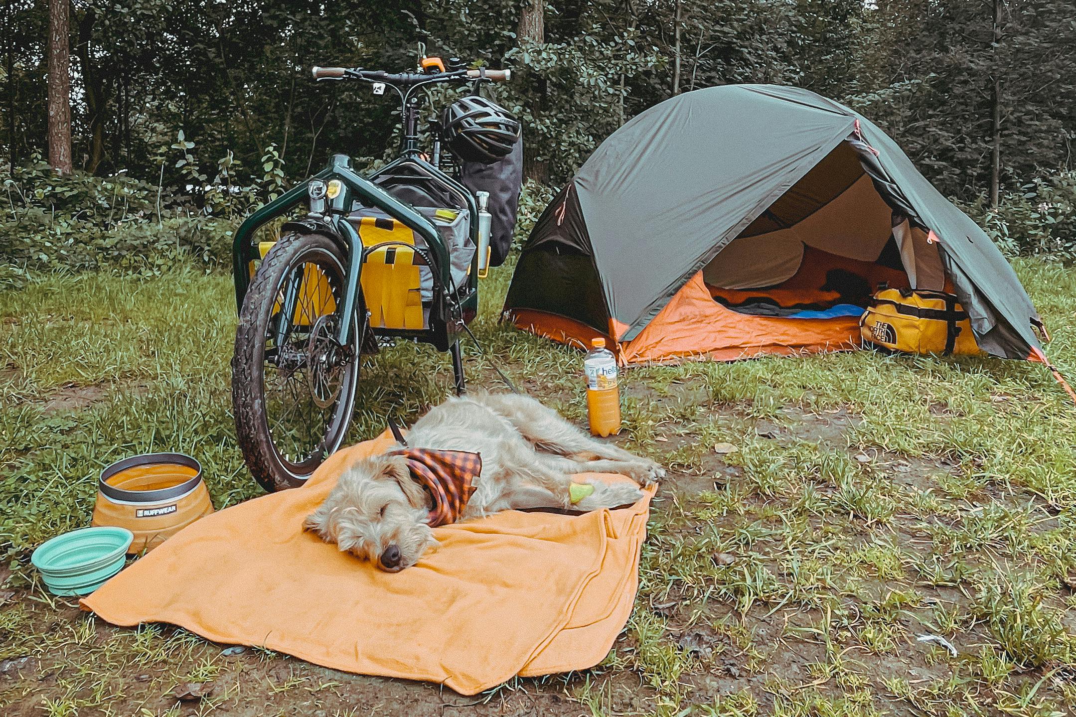 A cargo bikepacking setup next to a sleeping dog.
