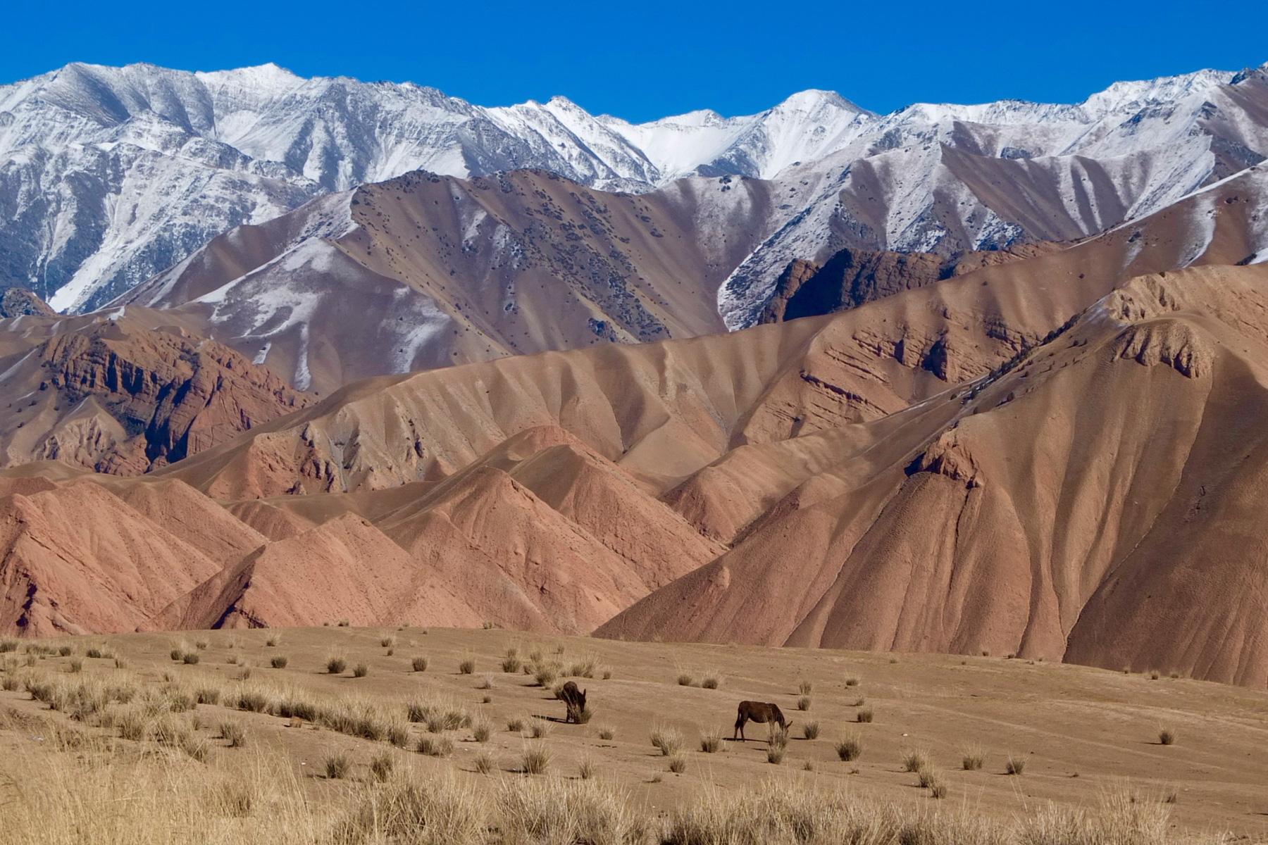 kyrgyzstan mountains