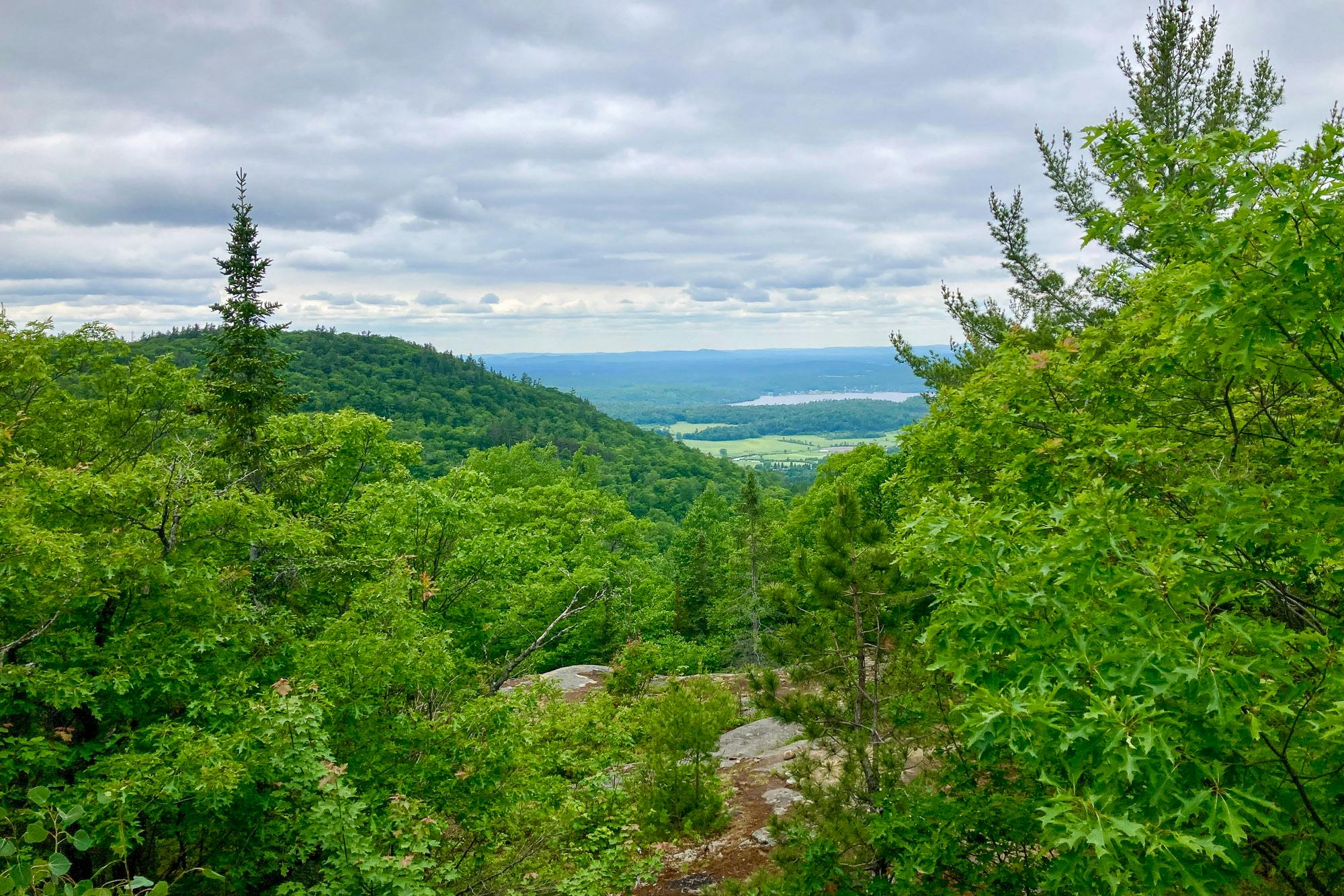 A view of the Quebec backcountry.